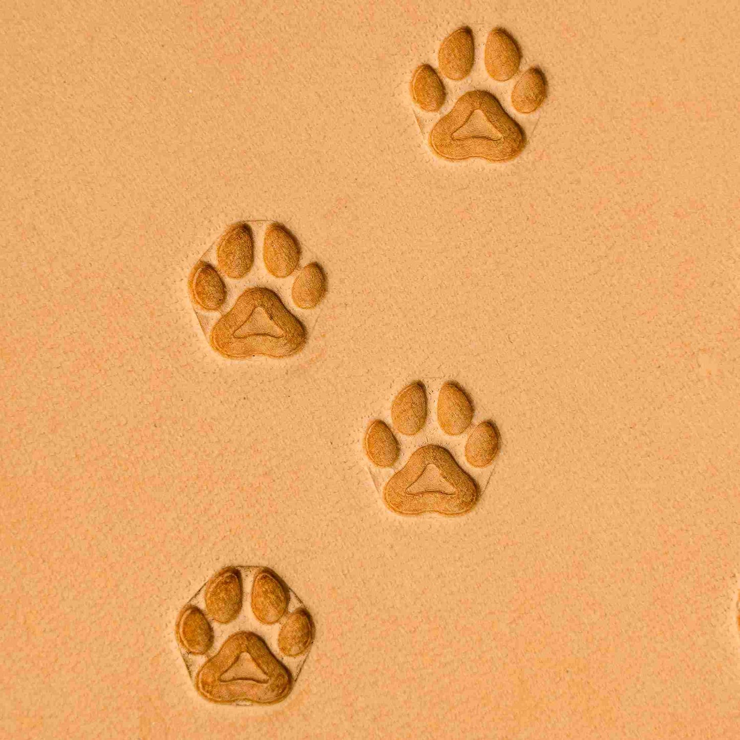 LT278 Cat Leather Stamping Tool–Paw Cat 09x09mm (5/14" x 5/14")