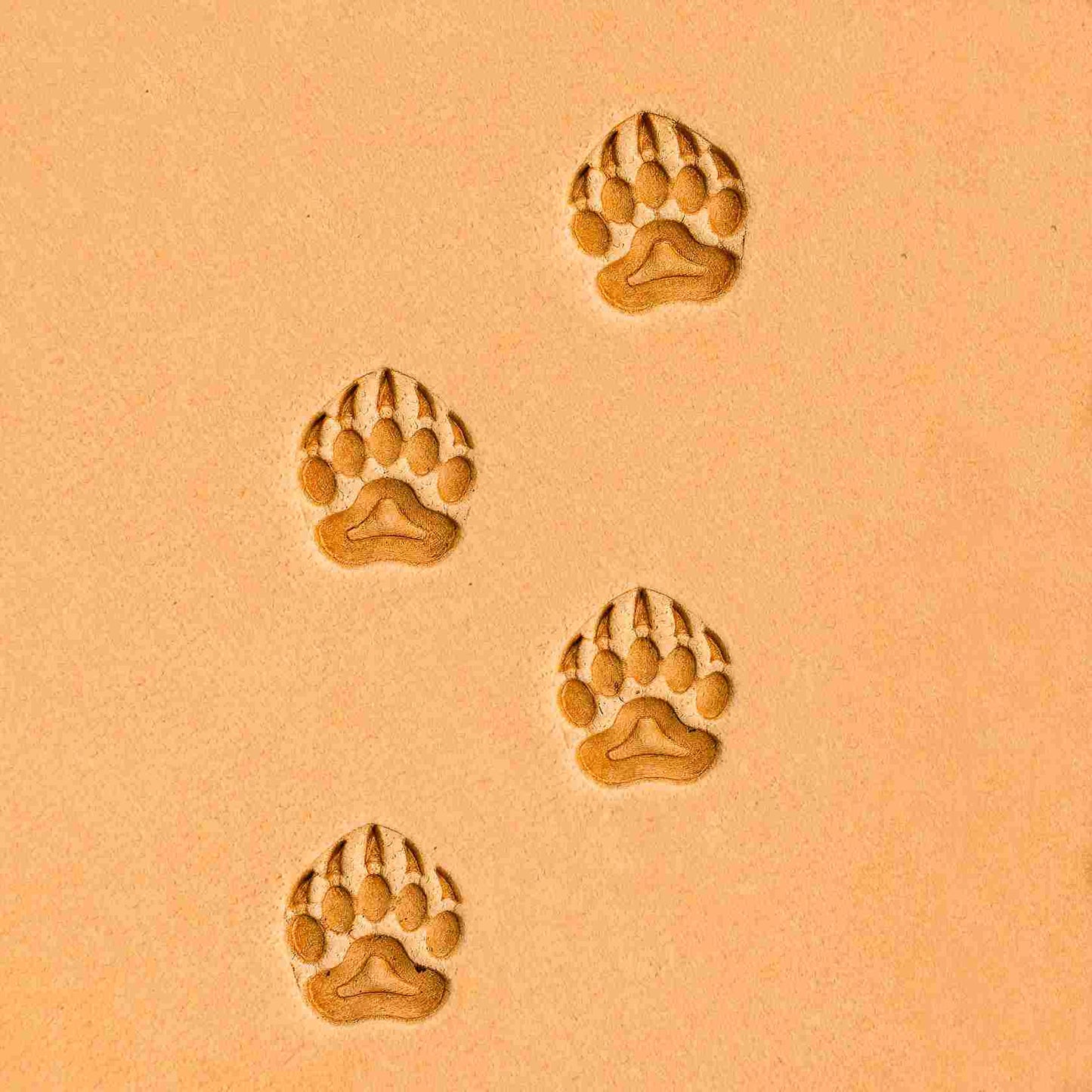 LT279 Bear Leather Stamping Tool–Track Paw Bear 10x09mm (2/5" x 5/14")