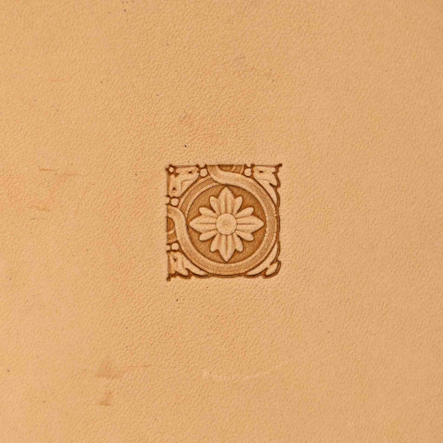 LT076 Flower Leather Stamping Tool–Ornamental Border Flower