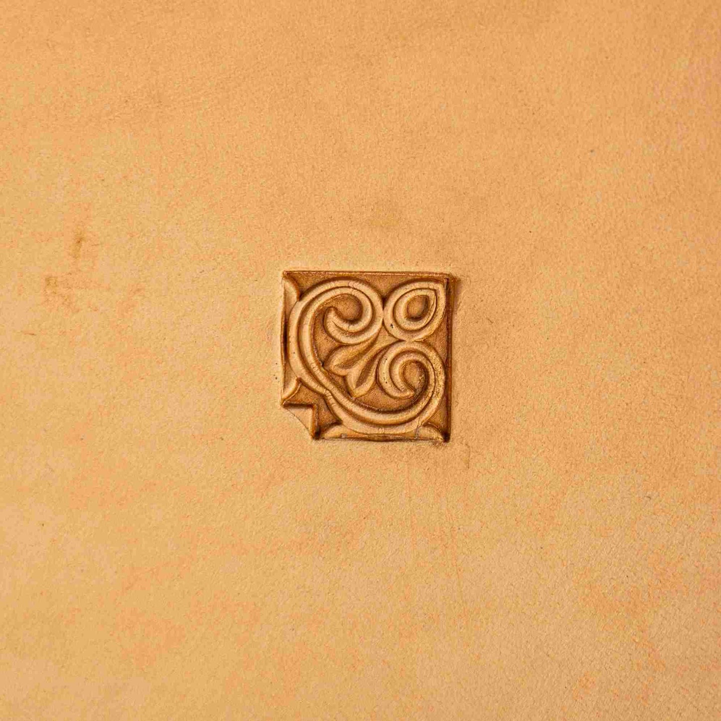 LT171 Ornamental Scroll Leather Stamping Tool– Ornamental Scroll