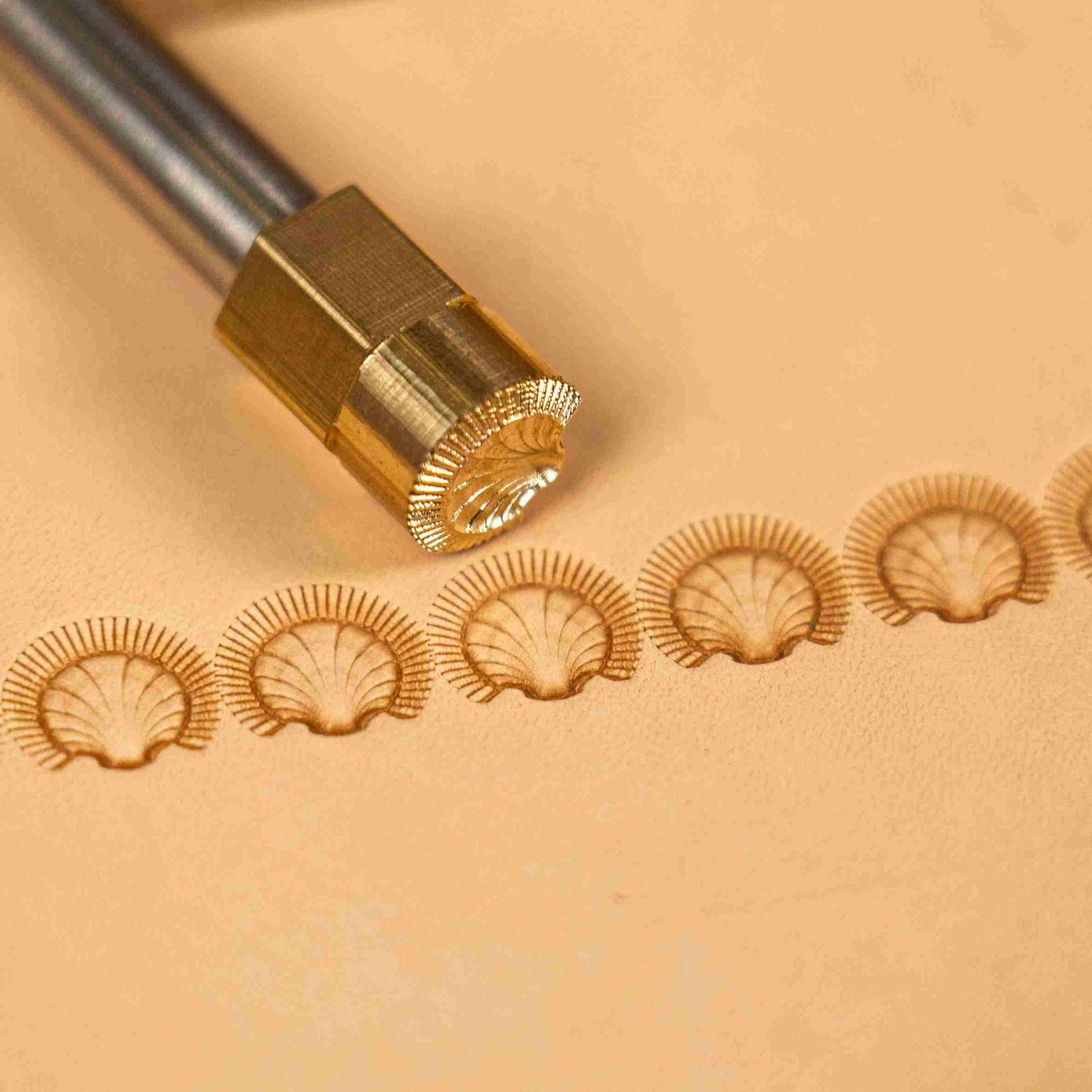 Pattern Leather Stamp – Shell Fan