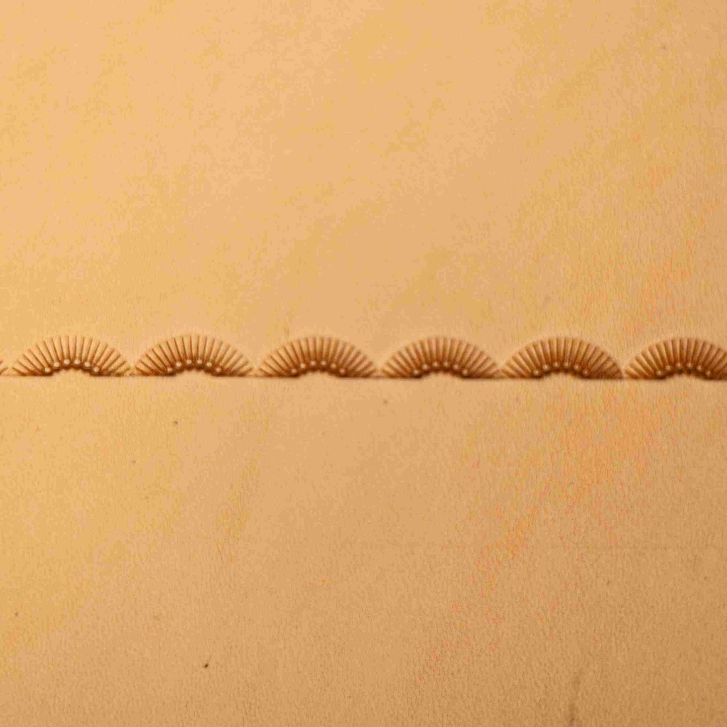 LT197 Stitches Leather Stamping Tool–Radiant Curve Stitches 12x4mm (7/15" x 2/13")