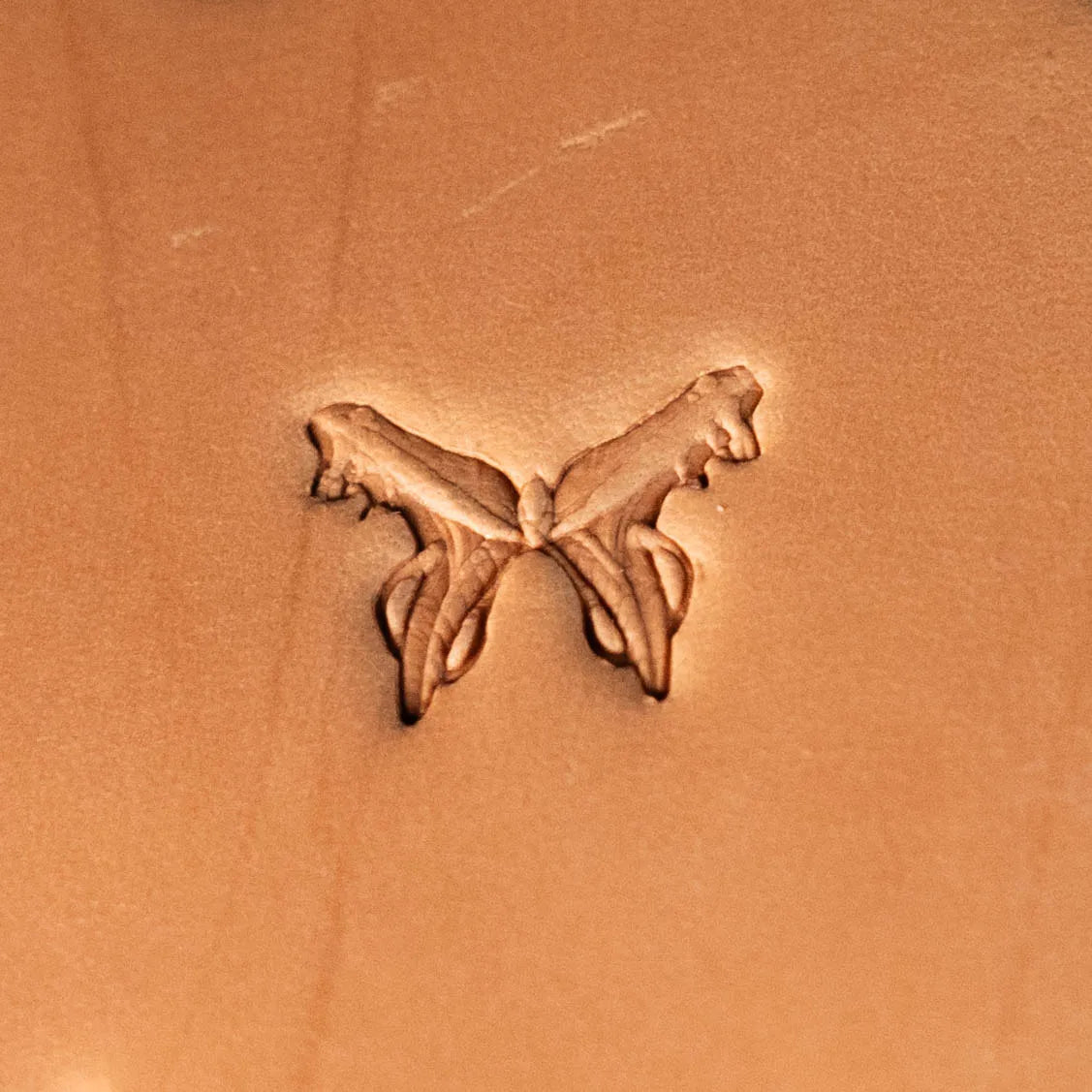 LT632 Butterfly Leather Stamping Tool–Flying Butterfly 20x16mm (11/14" x 5/8")