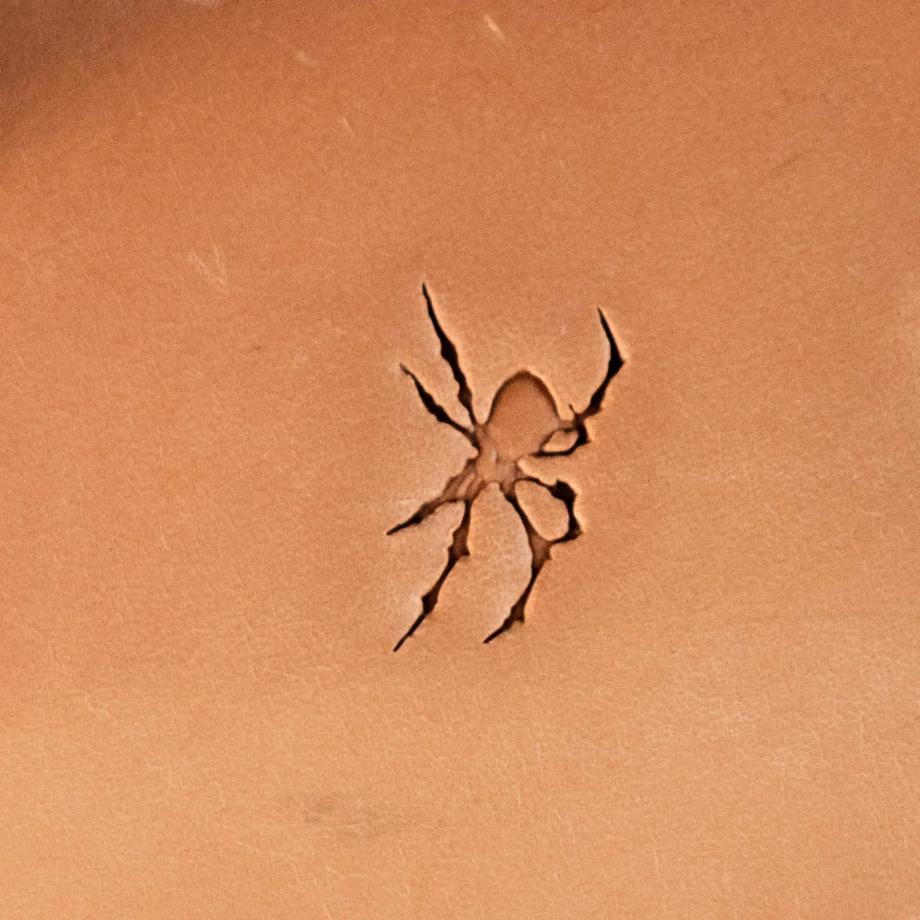 LT621 Animal Leather Stamping Tool–Spider Shape Animal 15x19mm (7/12" x 3/4")