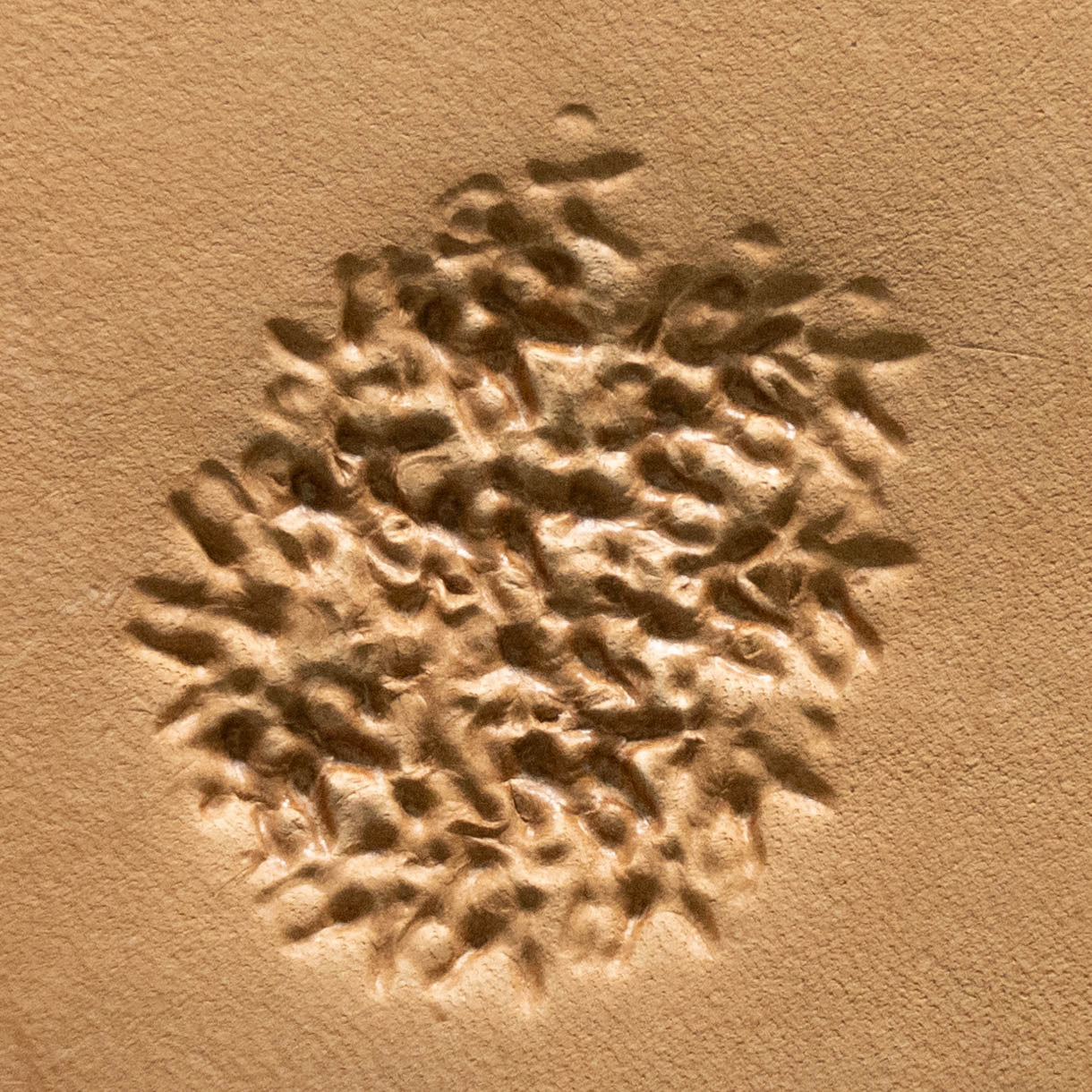 LT779 Textured Leather Stamping Tool–Cluster Textured 10x10mm (2/5" x 2/5")