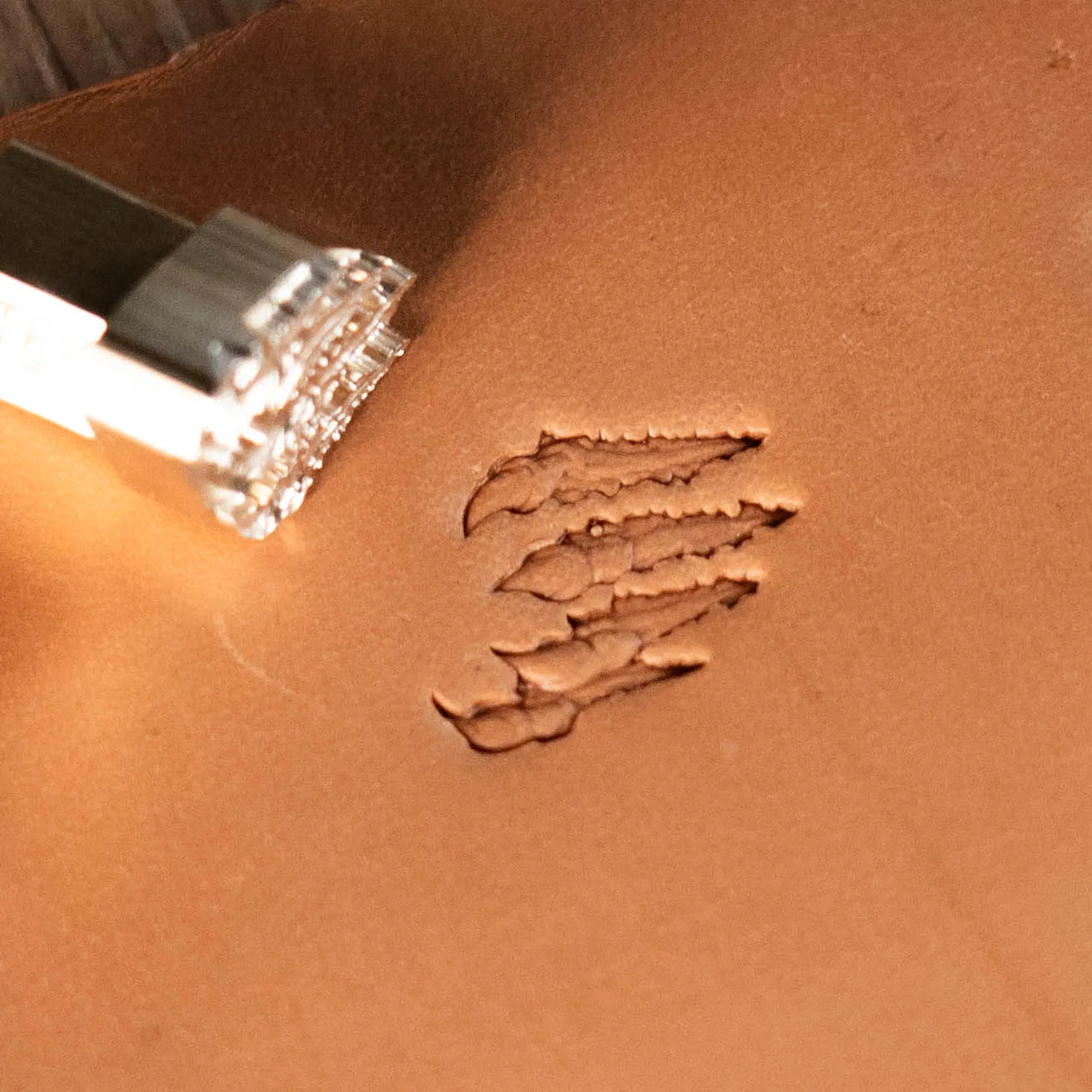 LT613 Paw Leather Stamping Tool–Claw Marks Paw 20x14mm (11/14" x 5/9")