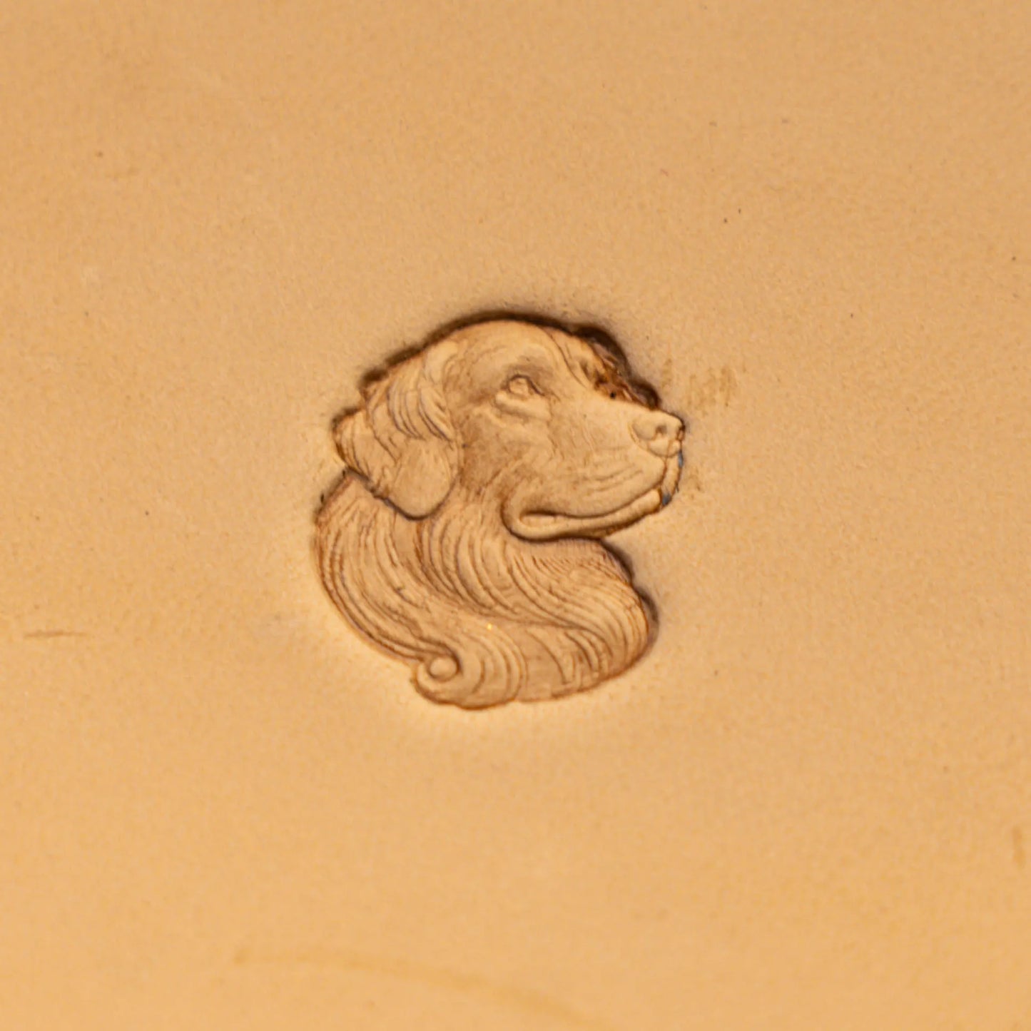 Dog Leather Stamp – Longhair