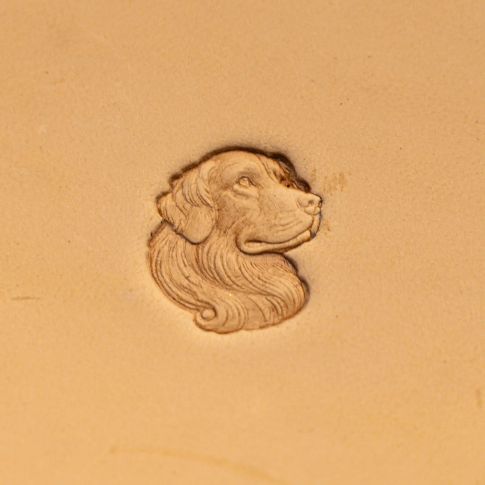 Dog Leather Stamp – Longhair