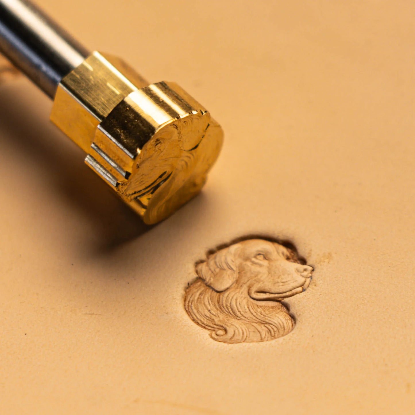 LT578 Dog Leather Stamping Tool–Longhair Dog 17x18mm (2/3" x 5/7")