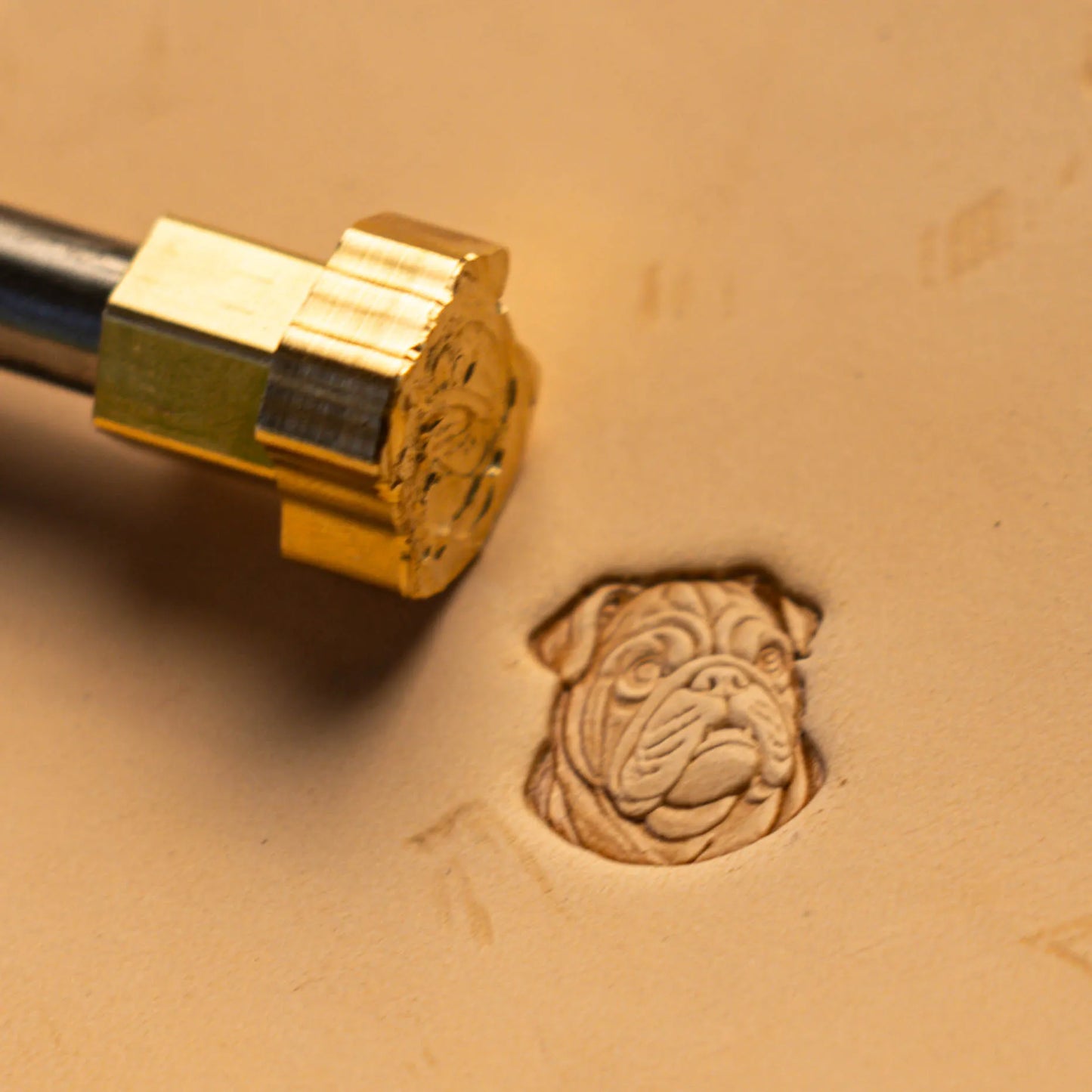 LT579 Bulldog Face Leather Stamping Tool– Bulldog Face 15x17mm (7/12" x 2/3")