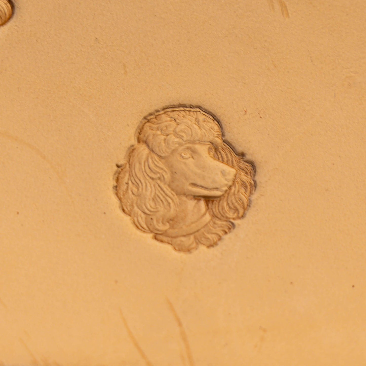 LT580 Dog Leather Stamping Tool–Poodle Head Dog 21x22mm (5/6" x 13/15")