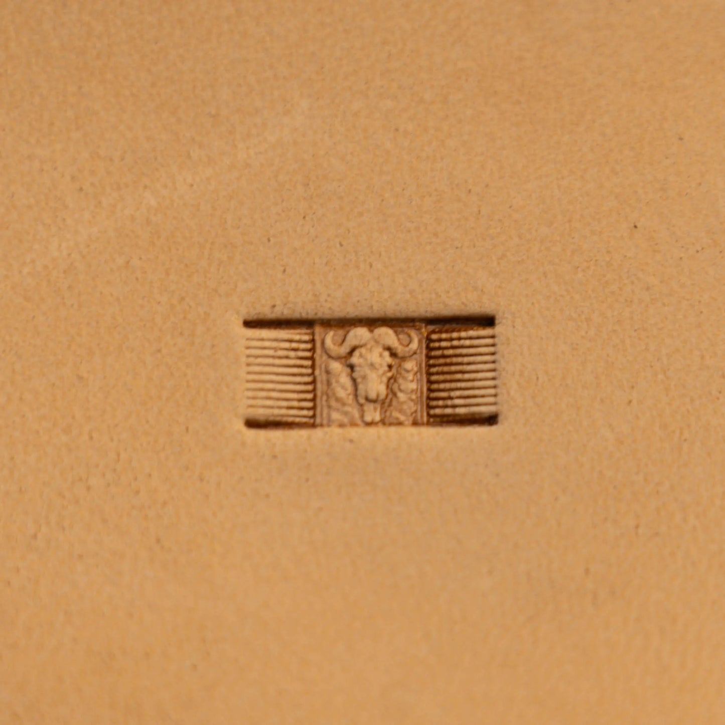 LT591 Buffalo Head Leather Stamping Tool– Buffalo Head 16x07mm (5/8x1/4")