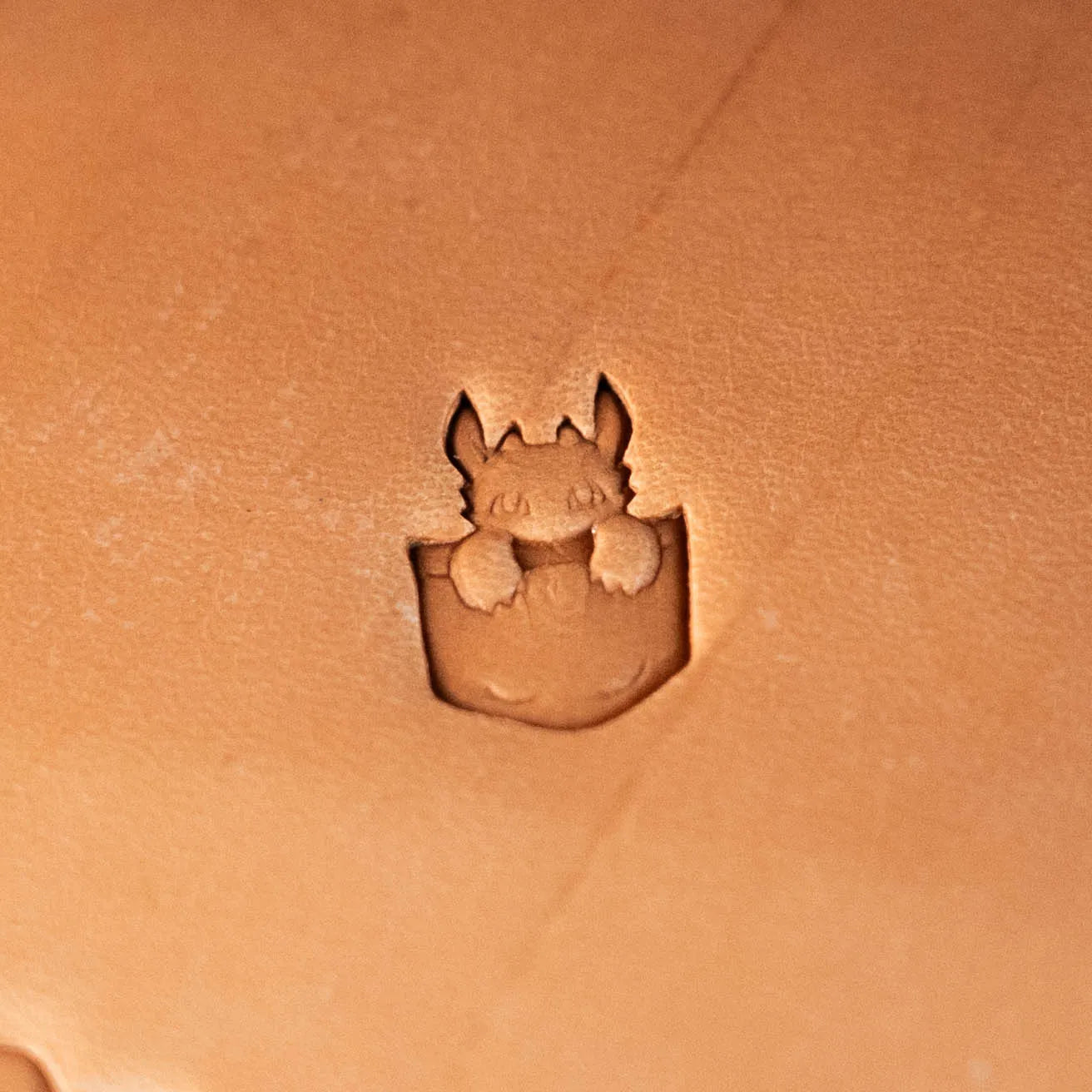 LT619 Premium Leather Stamping Tools for Professional Crafters-11x17mm