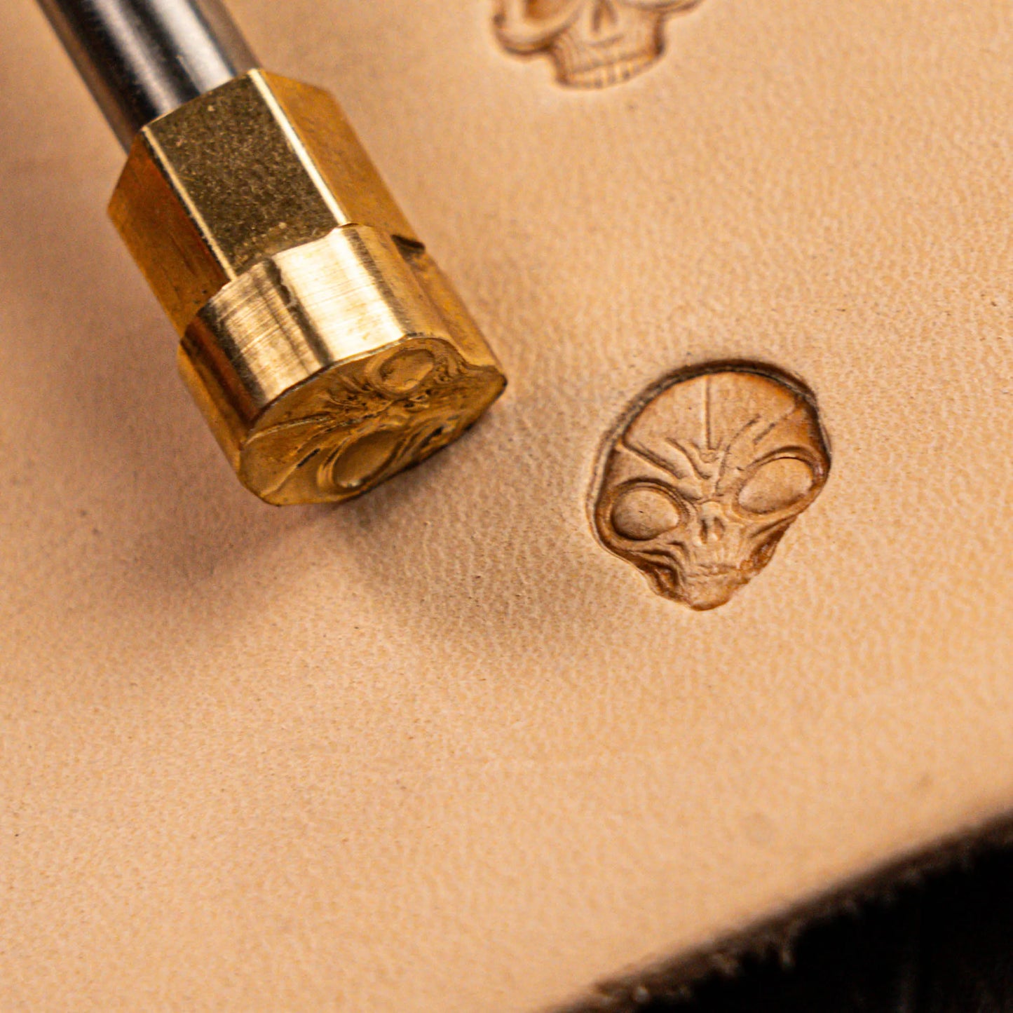 LT569 Skull Leather Stamping Tool–Alien Head Skull 12x15mm (7/15" x 7/12")