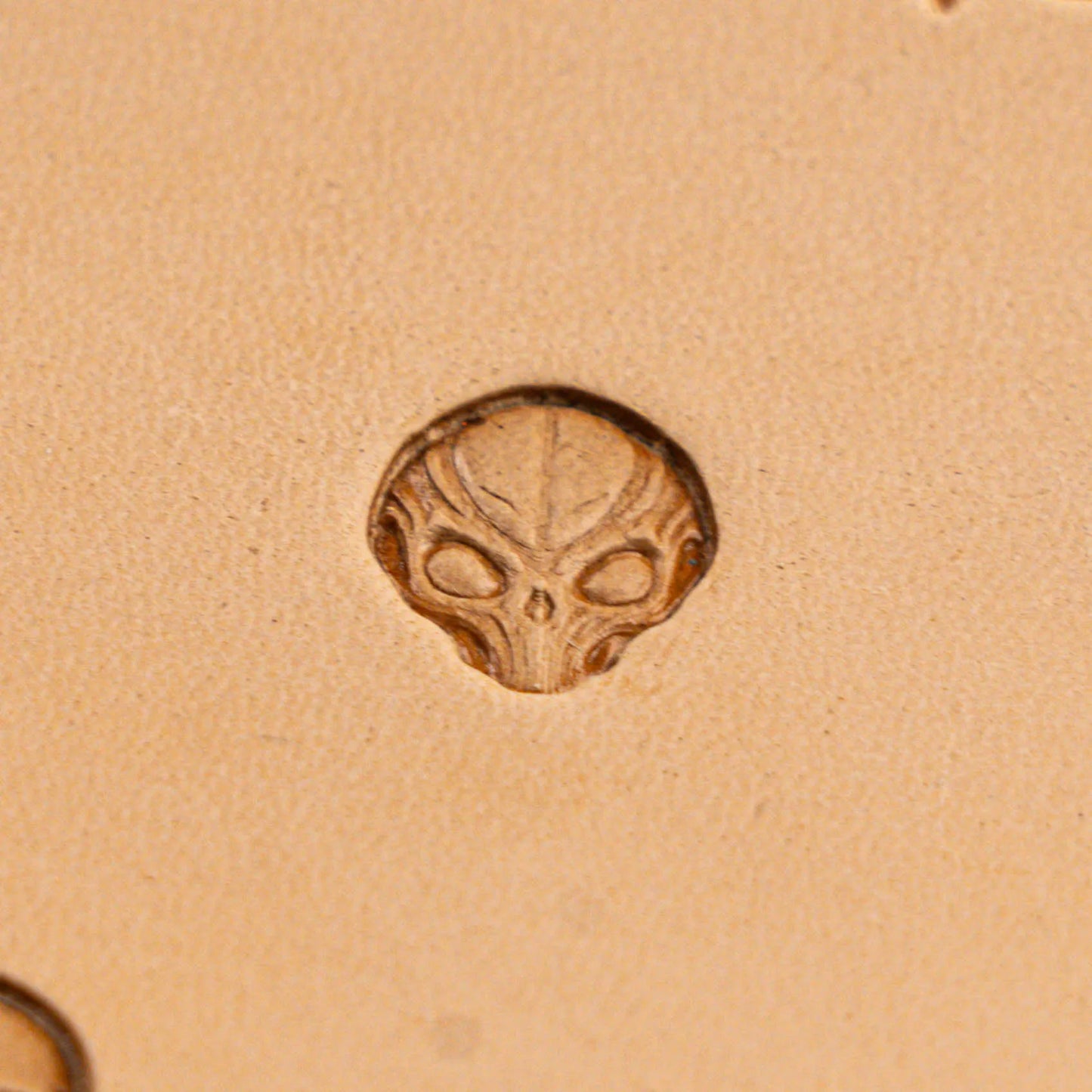 LT571 Skull Leather Stamping Tool–Alien Head Skull 13x15mm (1/2" x 7/12")