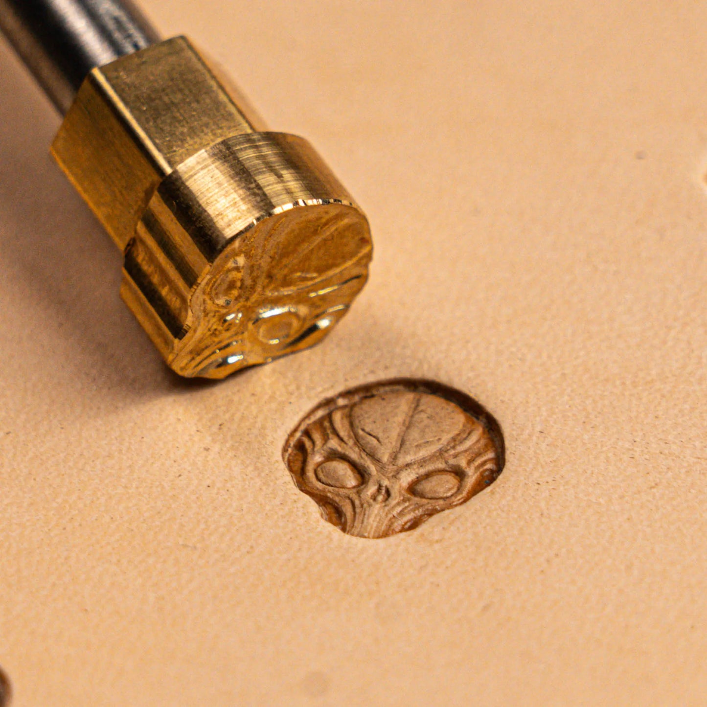 LT571 Skull Leather Stamping Tool–Alien Head Skull 13x15mm (1/2" x 7/12")