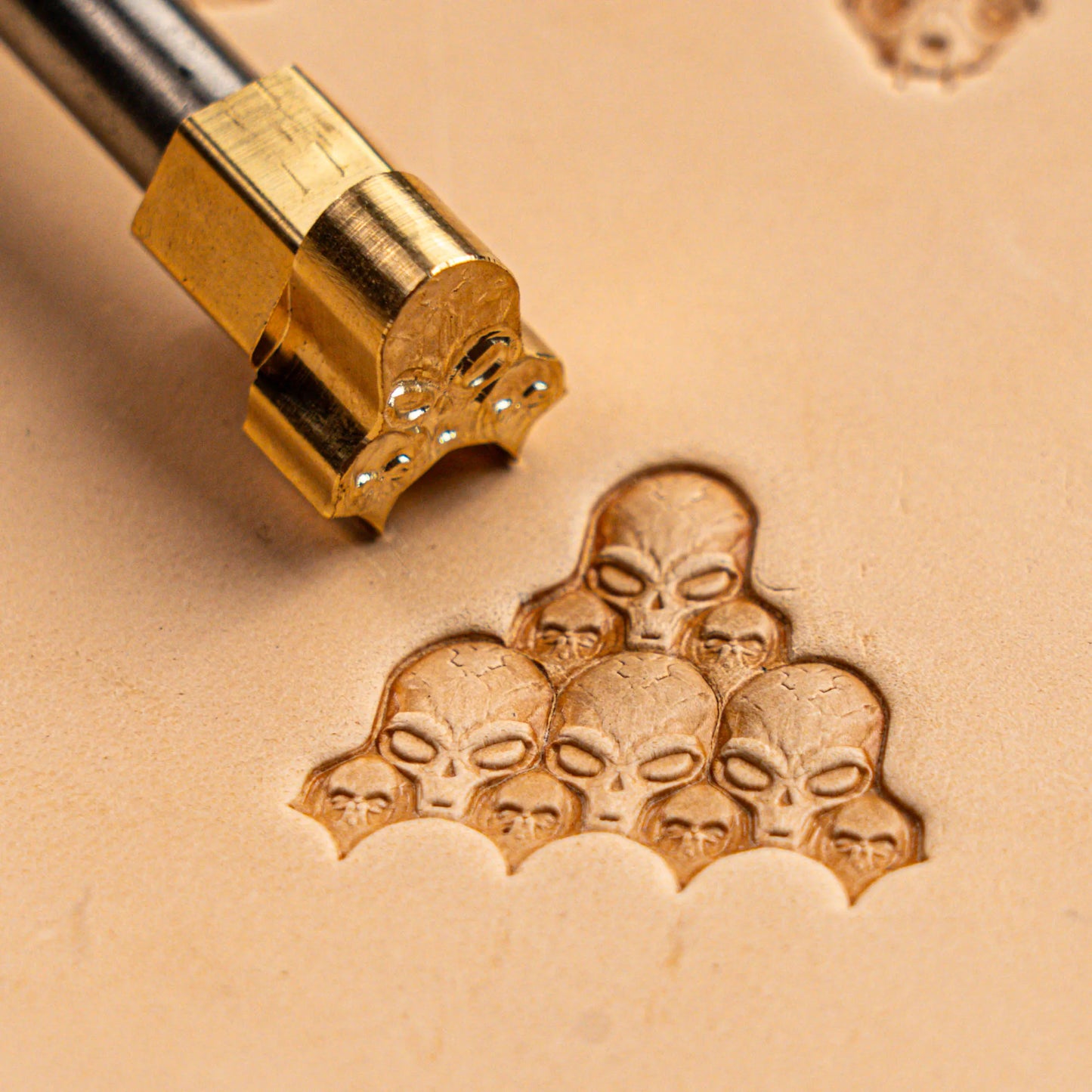 Skull Leather Stamp – Alien Cluster