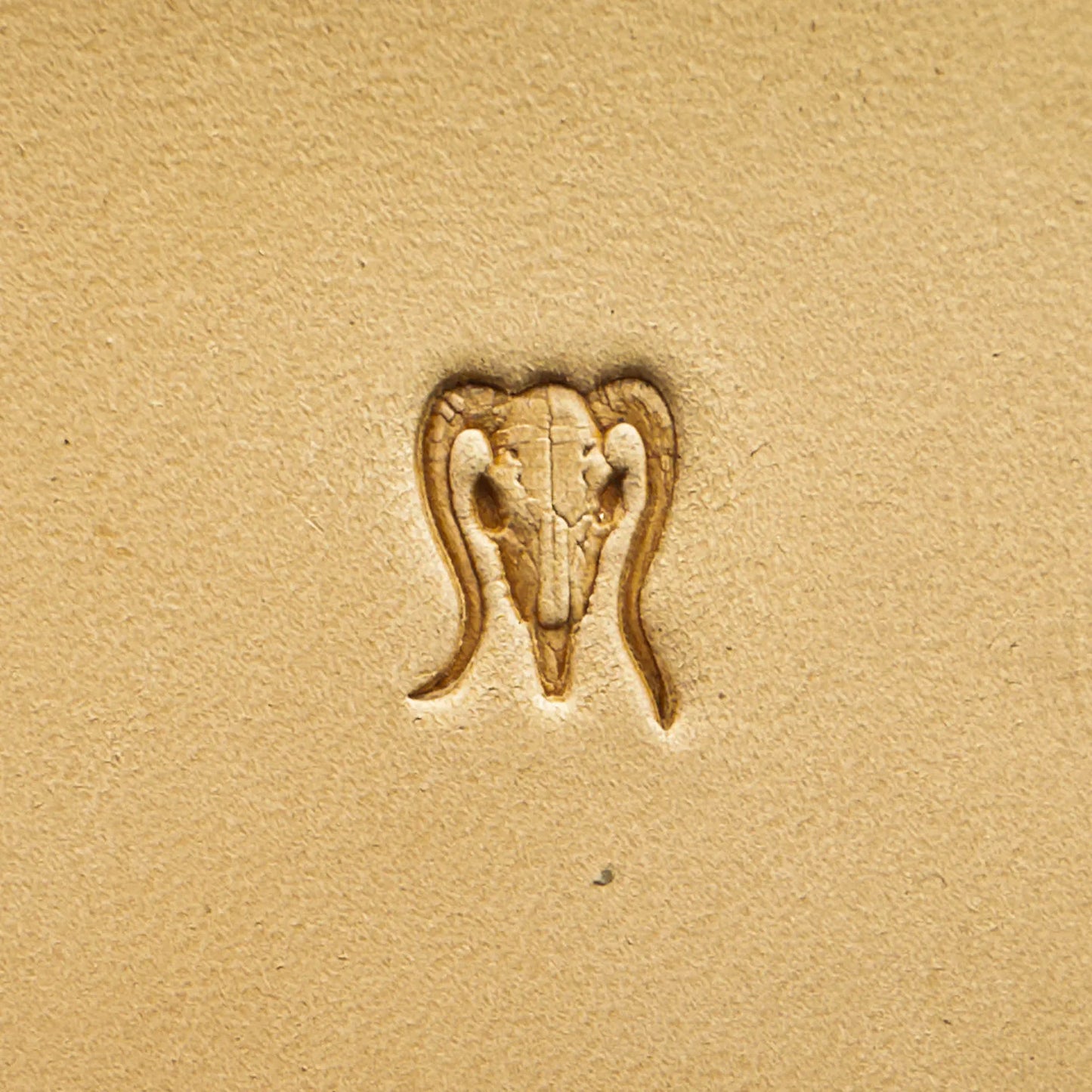 LT558 Skull Leather Stamping Tool–Goat Skull 10x13mm (3/8x1/2")