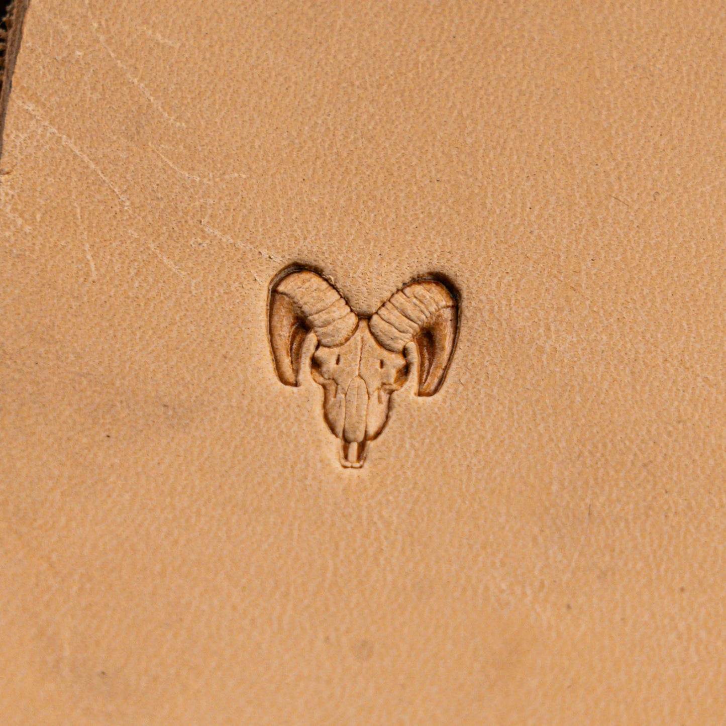 LT562 Skull Leather Stamping Tool–Goat Skull 14x16mm (5/9" x 5/8")