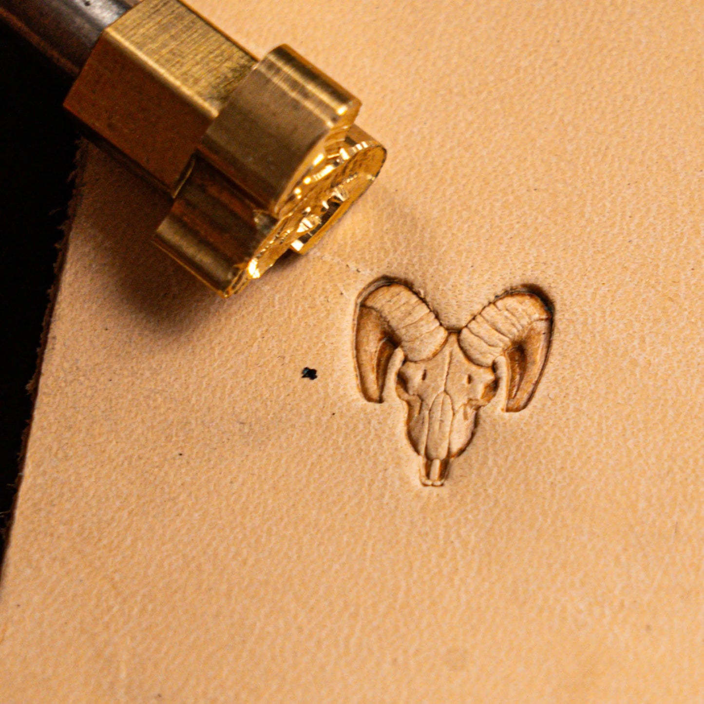 Goat Leather Stamp – Skull