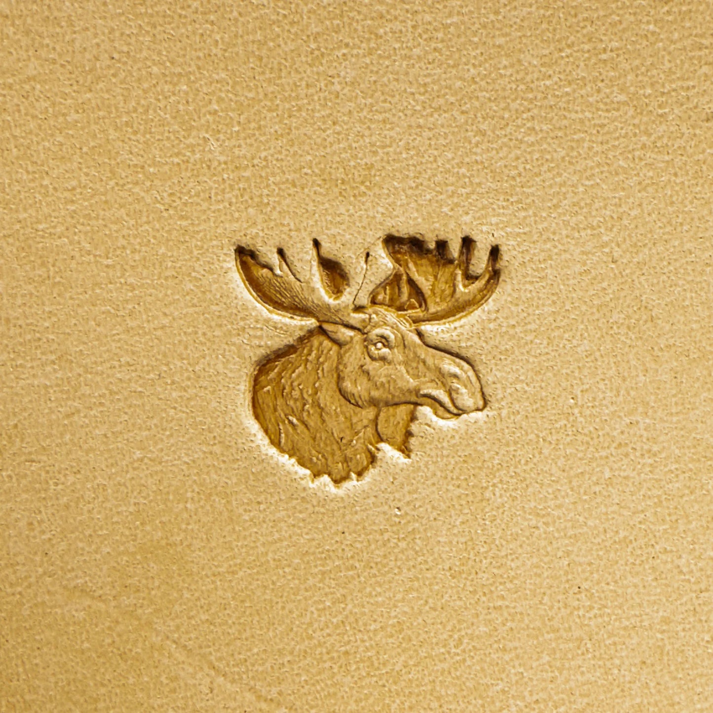 LT582 Deer Leather Stamping Tool–Moose Head Deer 18x18mm (5/7" x 5/7")