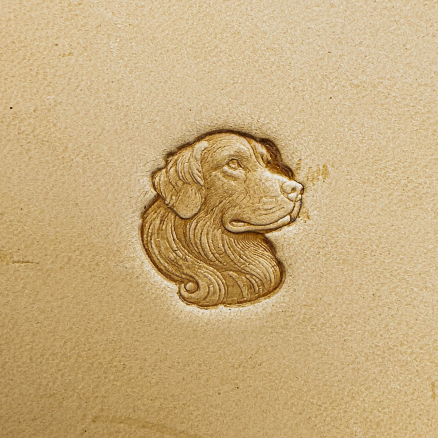 LT578 Dog Leather Stamping Tool–Longhair Dog 17x18mm (2/3" x 5/7")