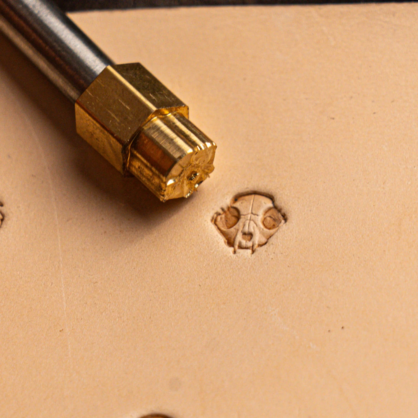 LT560 Animal Leather Stamping Tool–Skull Animal 10x10mm (2/5" x 2/5")
