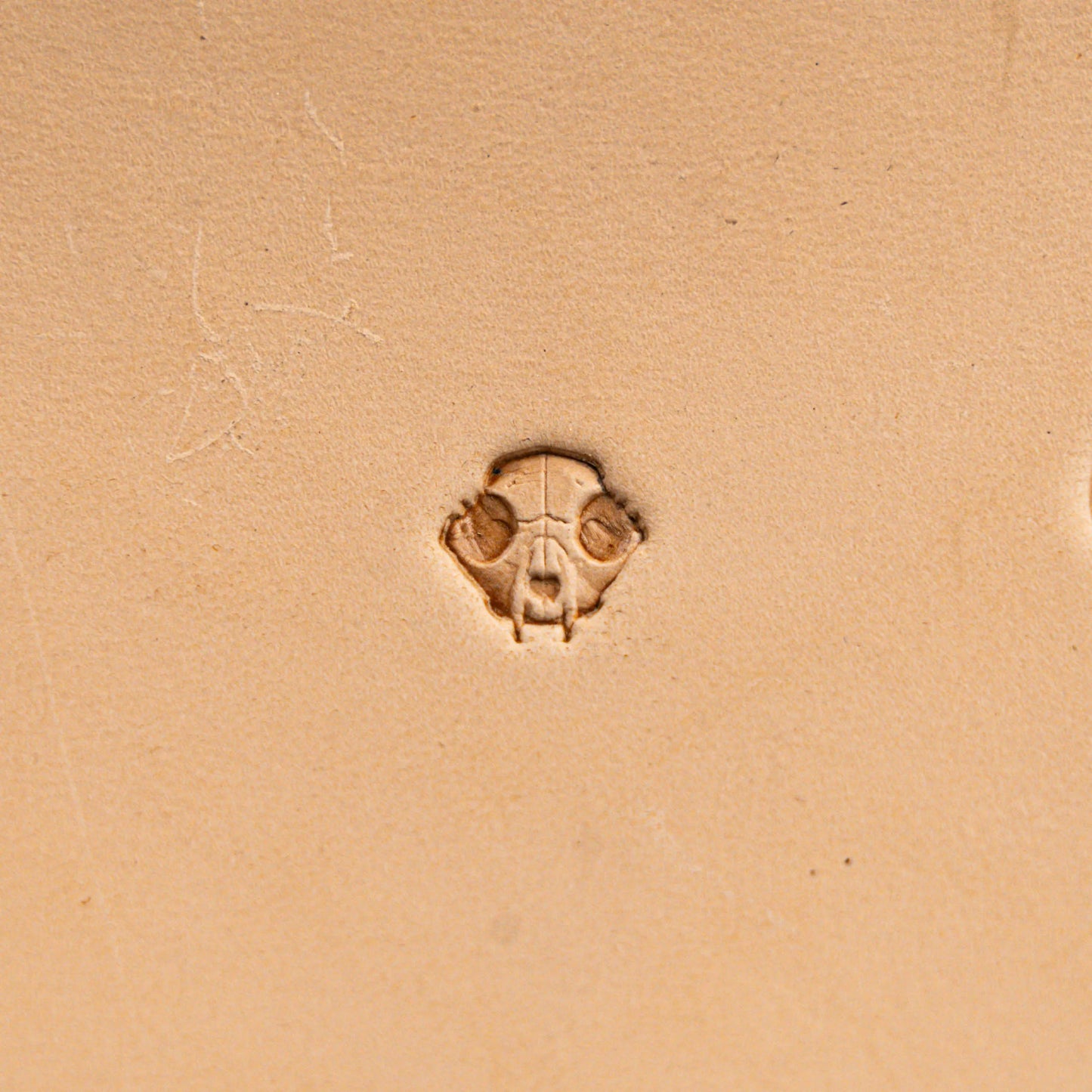 Skull Leather Stamp – Animal Style