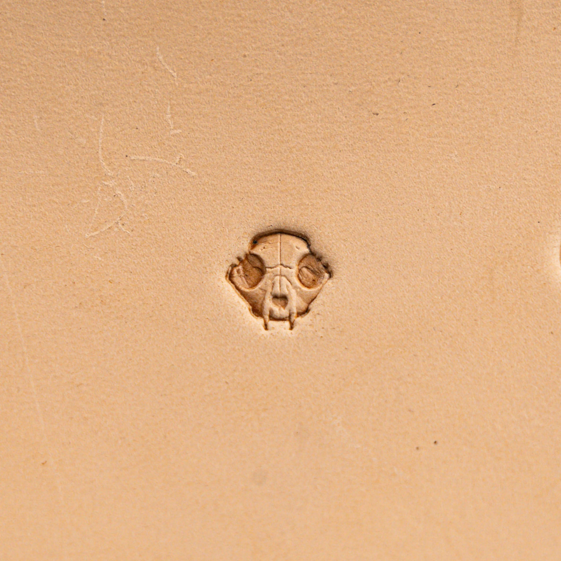 Skull Leather Stamp – Animal Style