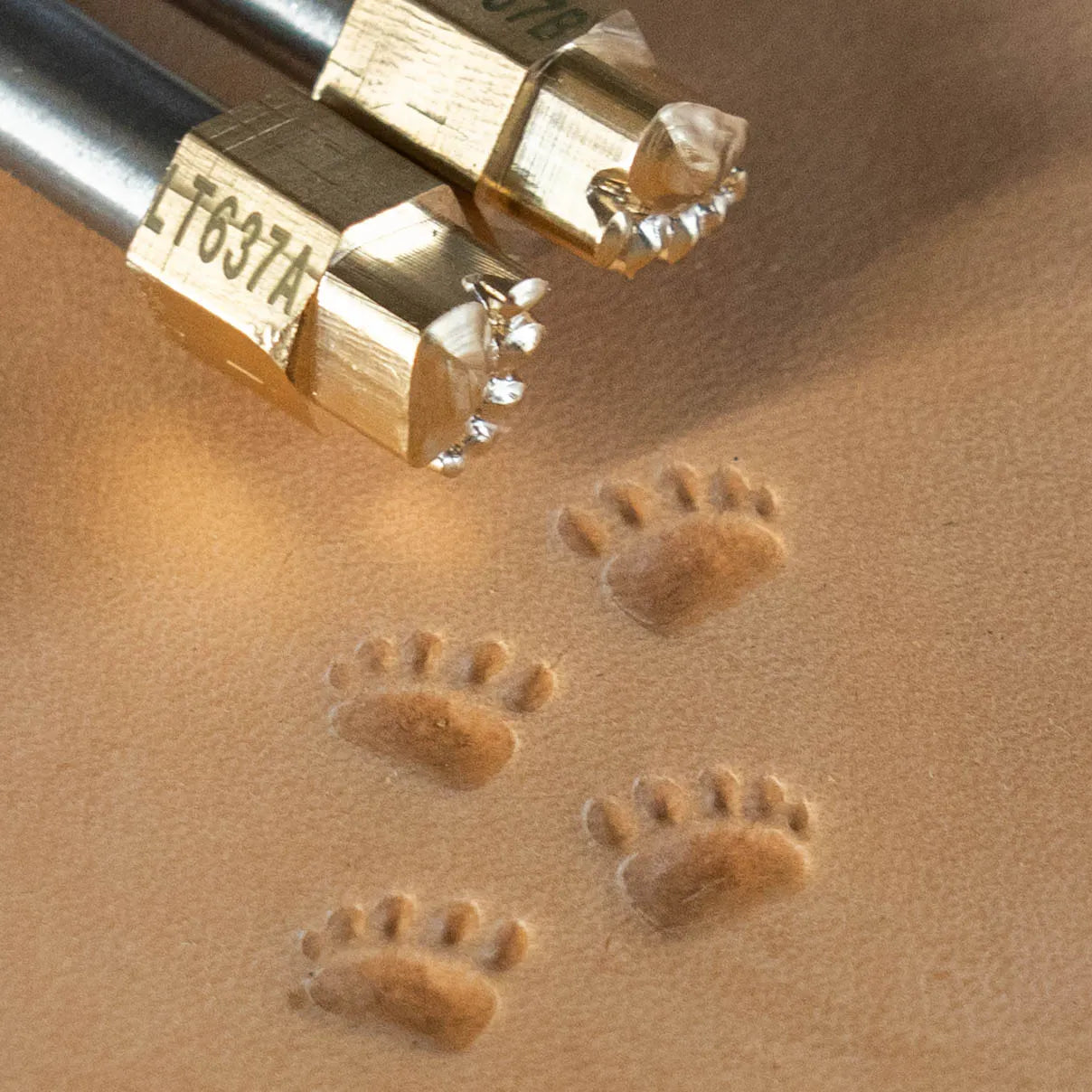 LT637A+B Bear Leather Stamping Tool–Tracks Paw Bear 10x10mm (2/5" x 2/5")