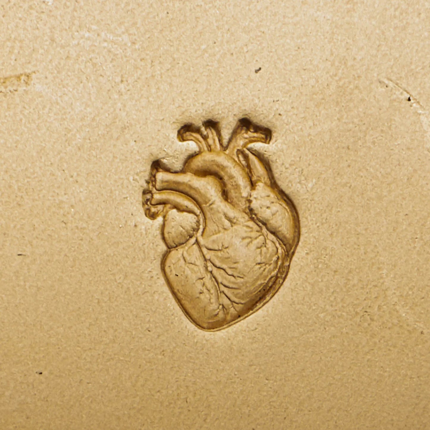 LT577 Heart Leather Stamping Tool–Anatomical Heart 13x18mm (1/2" x 5/7")