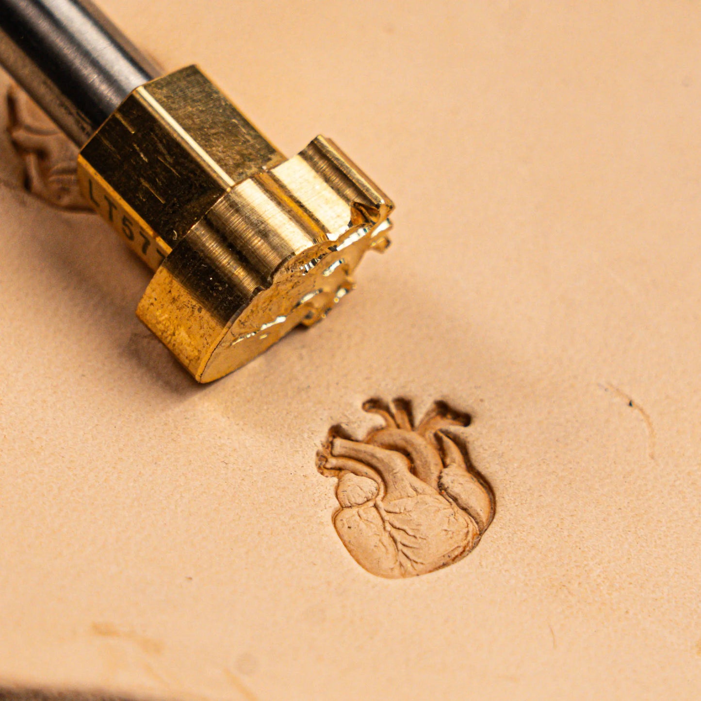 LT577 Heart Leather Stamping Tool–Anatomical Heart 13x18mm (1/2" x 5/7")