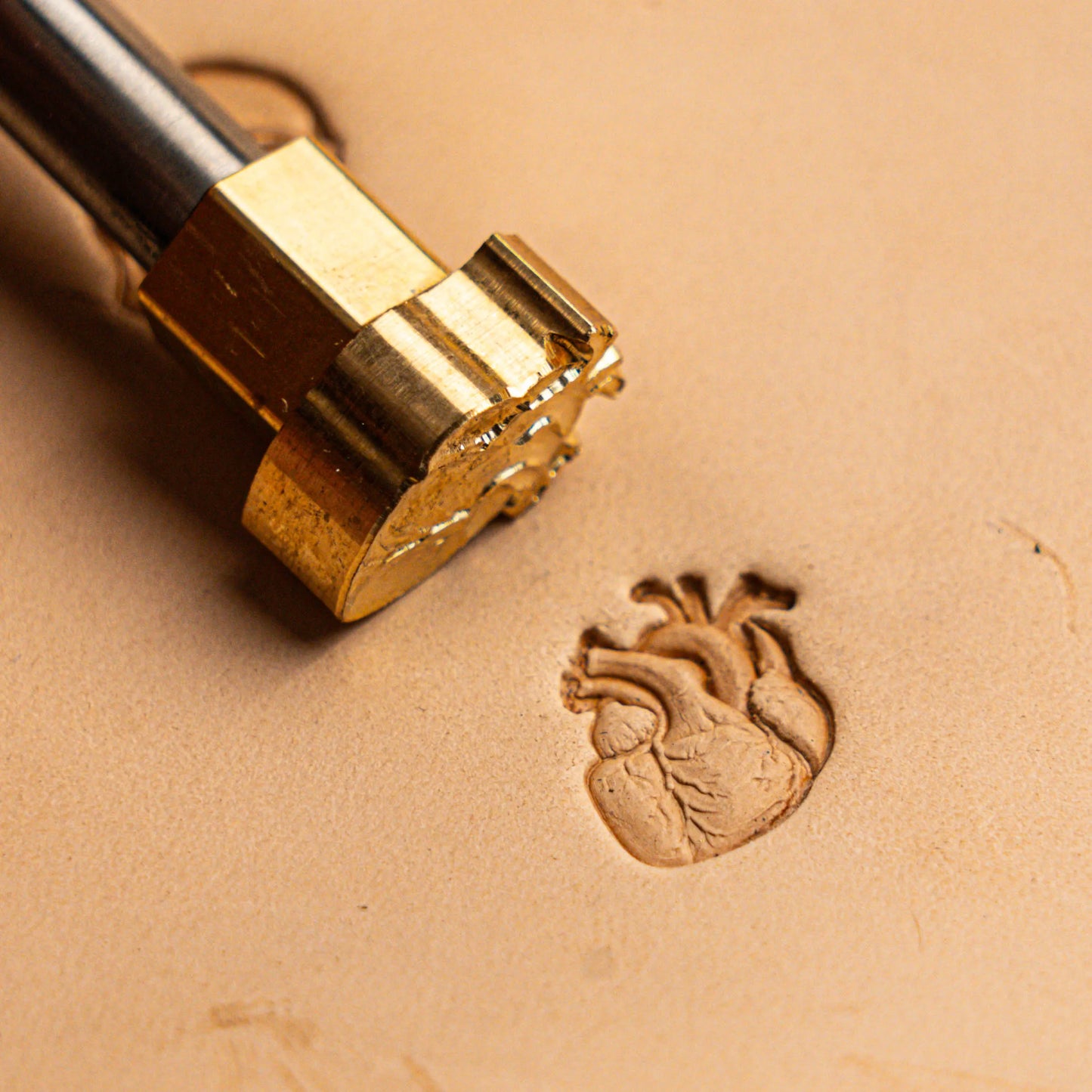 LT577 Heart Leather Stamping Tool–Anatomical Heart 13x18mm (1/2" x 5/7")