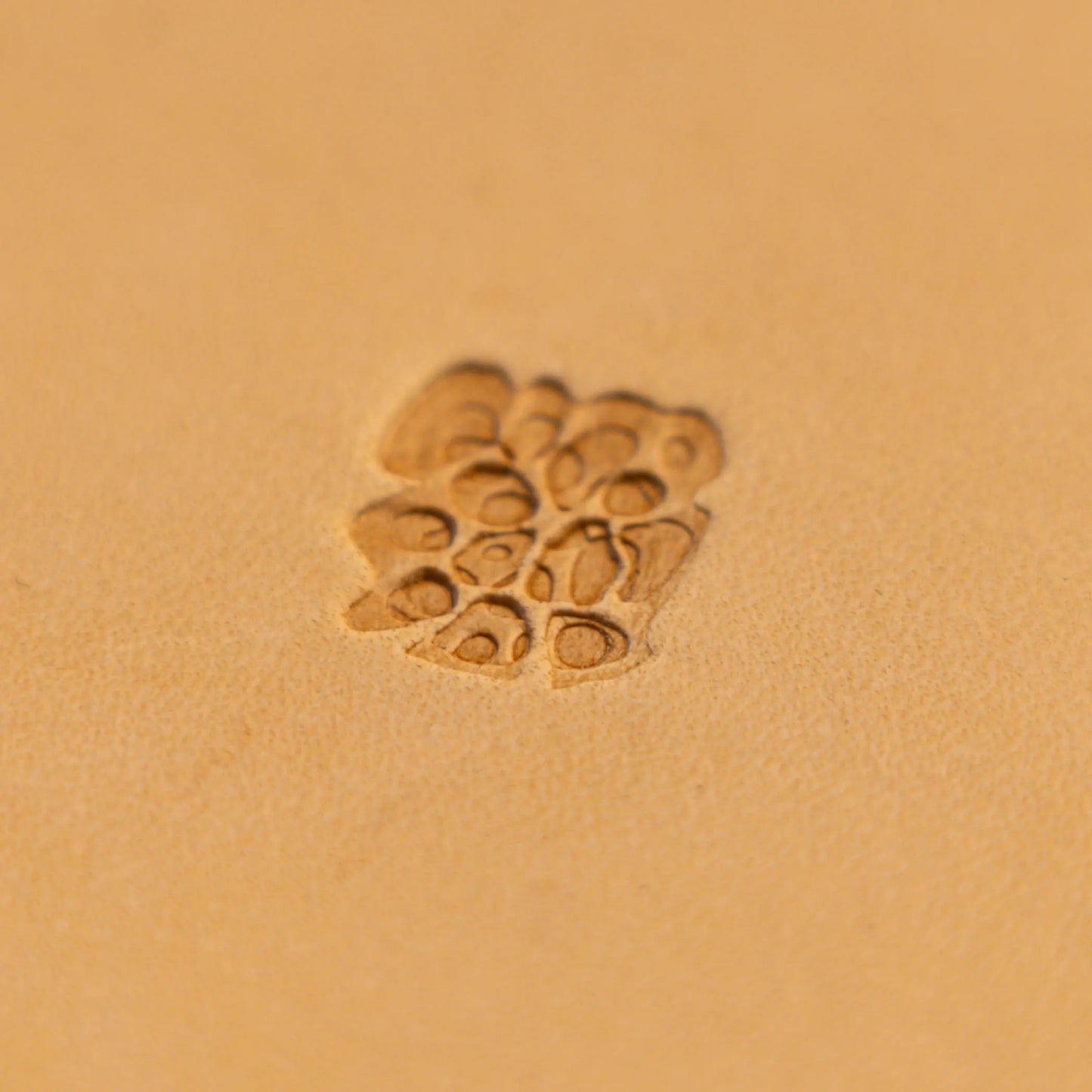 LT537 Floral Cluster Leather Stamping Tool– Floral Cluster 15x17mm (7/12" x 2/3")