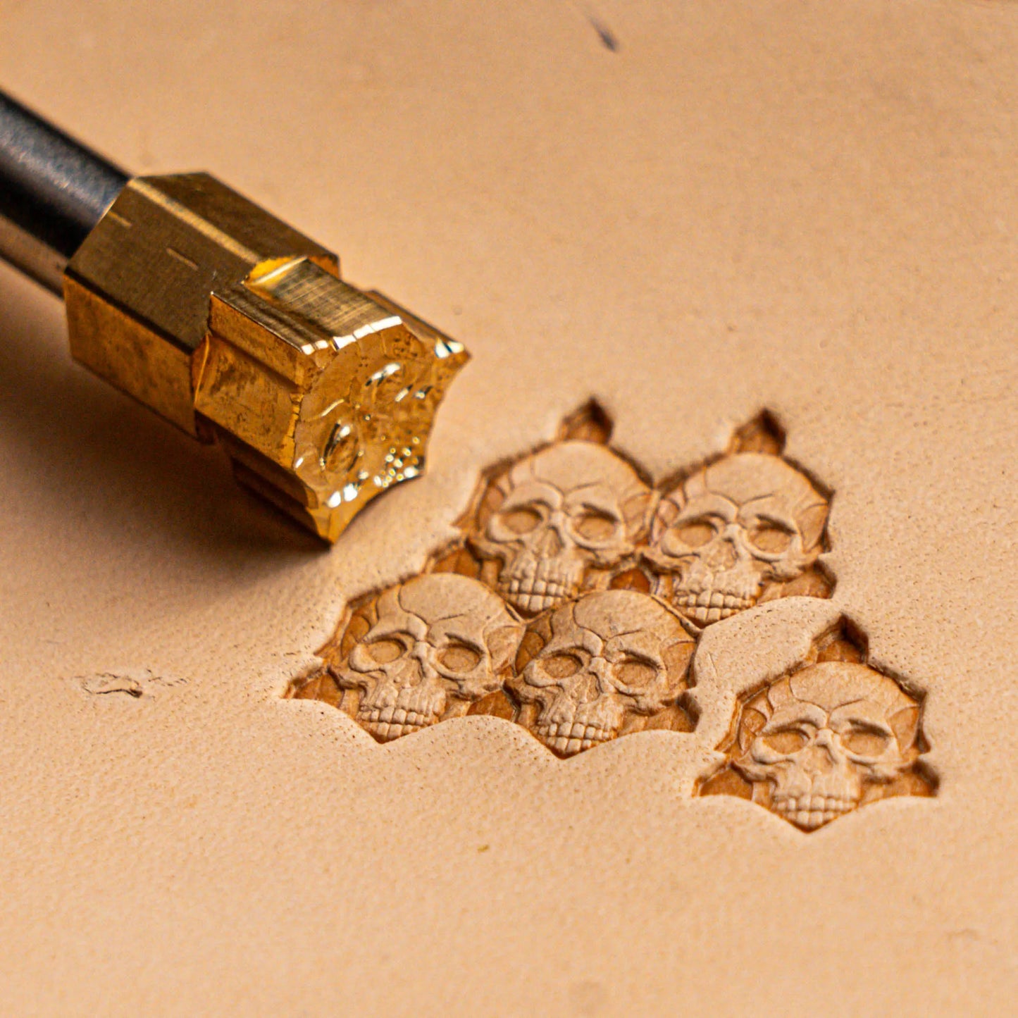 LT556 Skull Leather Stamping Tool–Old Cluster Skull 16x13mm (5/8" x 1/2")