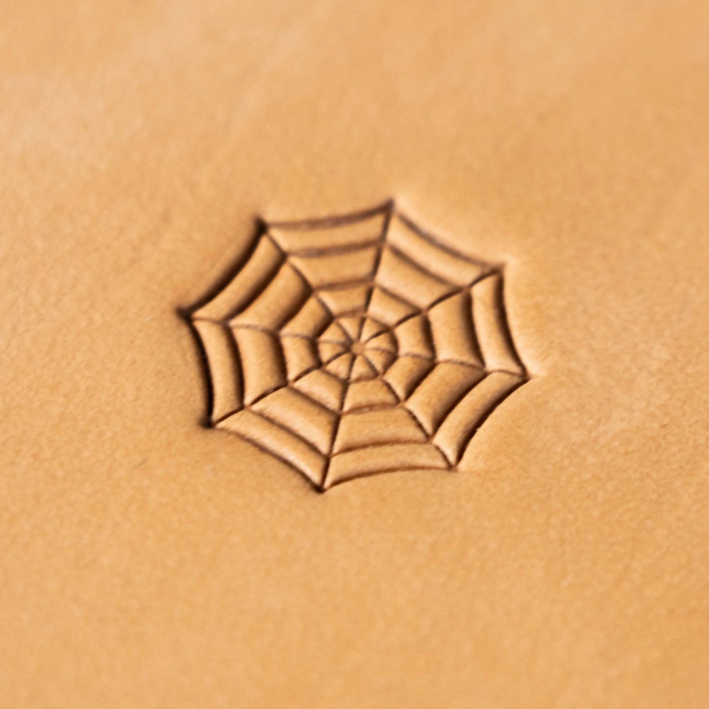 LT225 Geometric Leather Stamping Tool–Spider Web Geometric 20x20mm (11/14" x 11/14")
