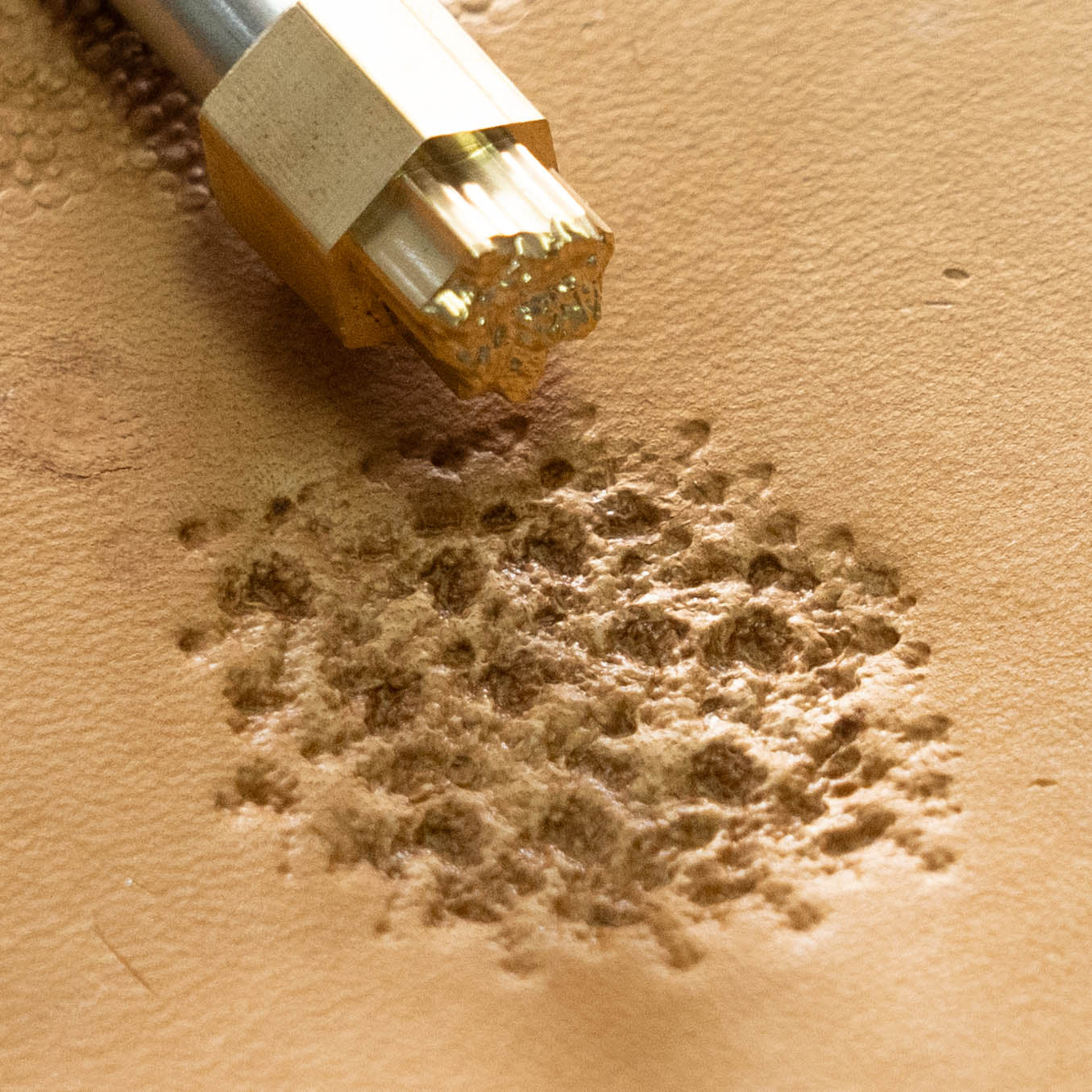 LT771 Organic Texture Leather Stamping Tool– Organic Texture 10x10mm (2/5" x 2/5")
