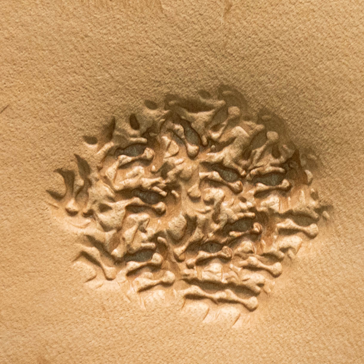 LT771 Organic Texture Leather Stamping Tool– Organic Texture 10x10mm (2/5" x 2/5")