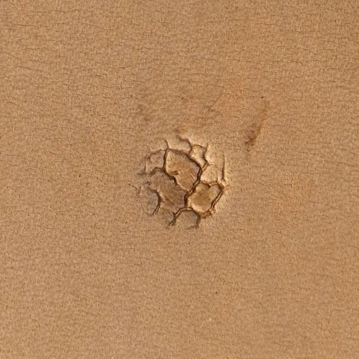 Pattern Leather Stamp – Cracked Texture