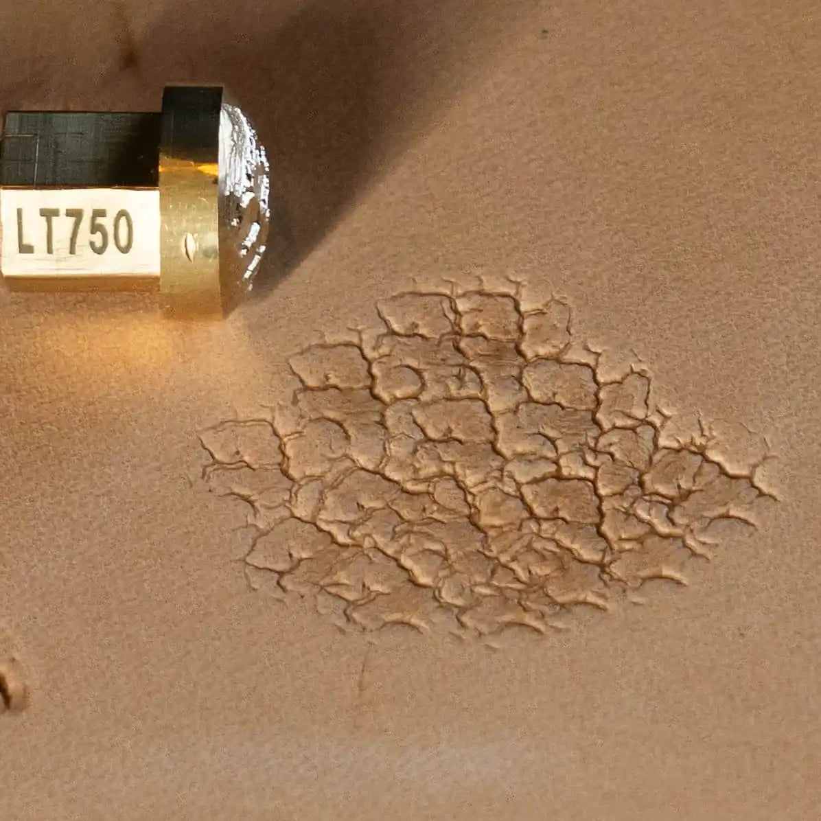 LT750 Cracked Texture Leather Stamping Tool– Cracked Texture 16x16mm (5/8x5/8")