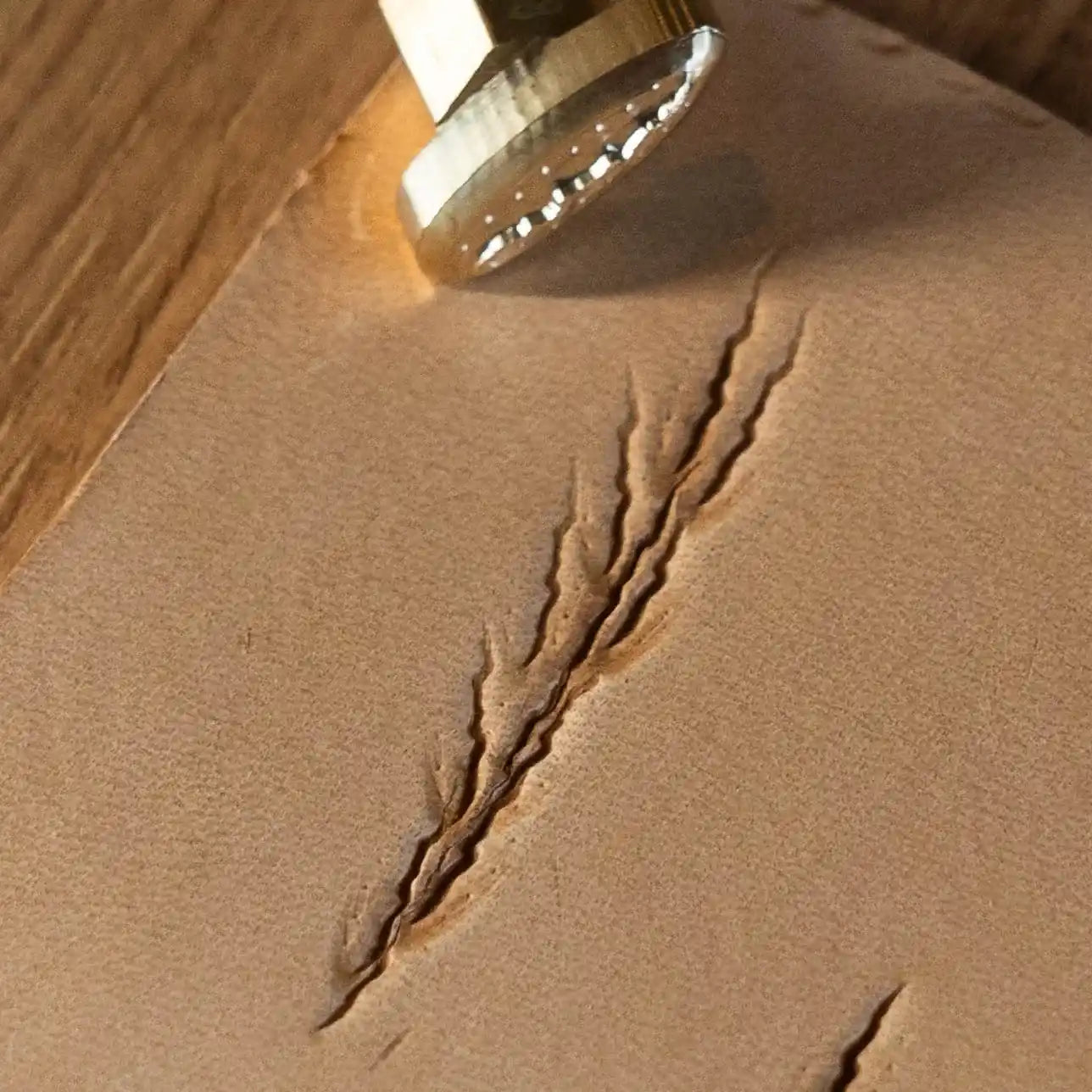 Paw Leather Stamp – Claw Marks