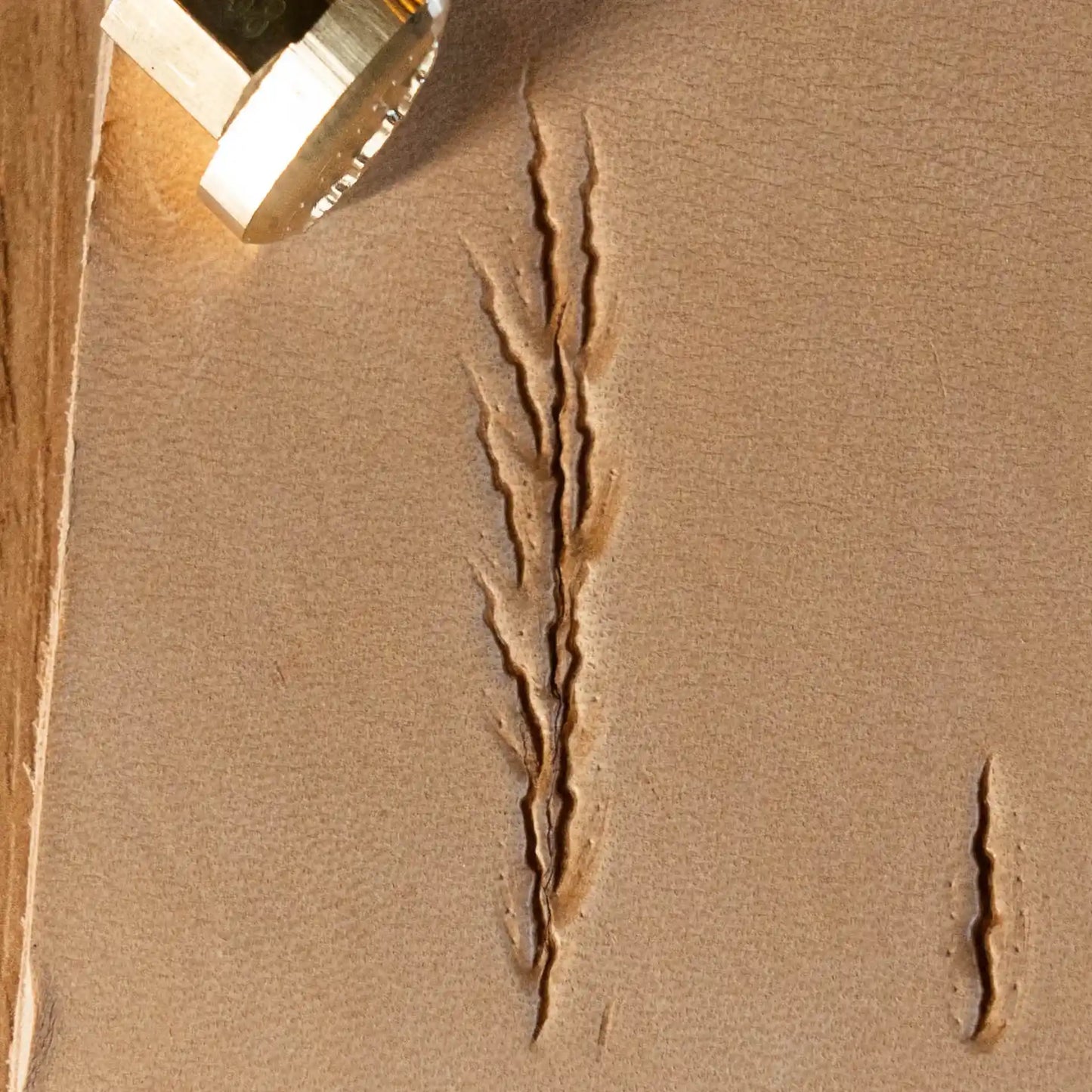 LT758 Paw Leather Stamping Tool–Claw Marks Paw 17x17mm (2/3" x 2/3")