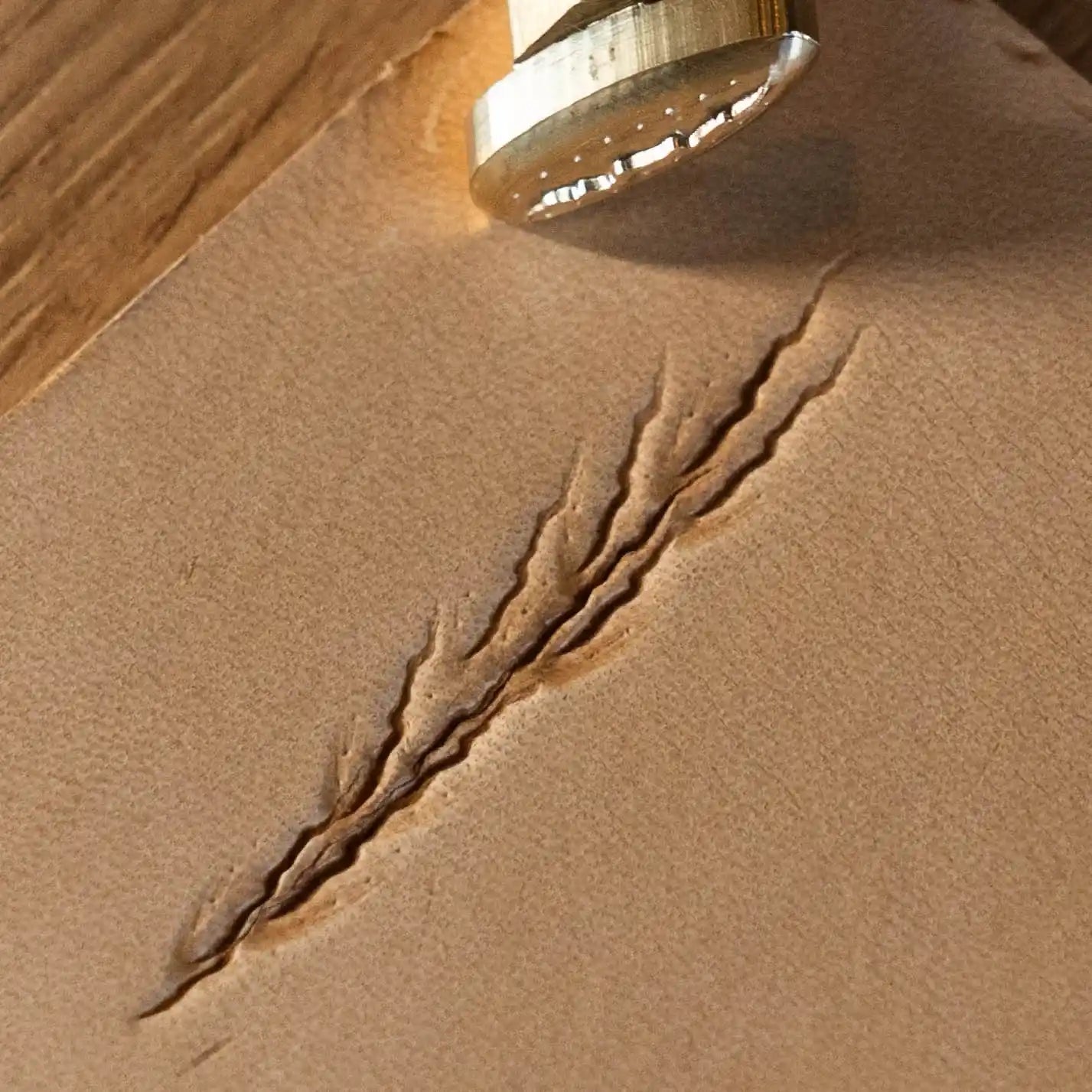 LT758 Paw Leather Stamping Tool–Claw Marks Paw 17x17mm (2/3" x 2/3")