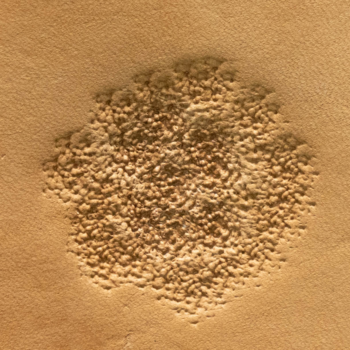 LT773 Pebble Texture Leather Stamping Tool– Pebble Texture 10x10mm (2/5" x 2/5")