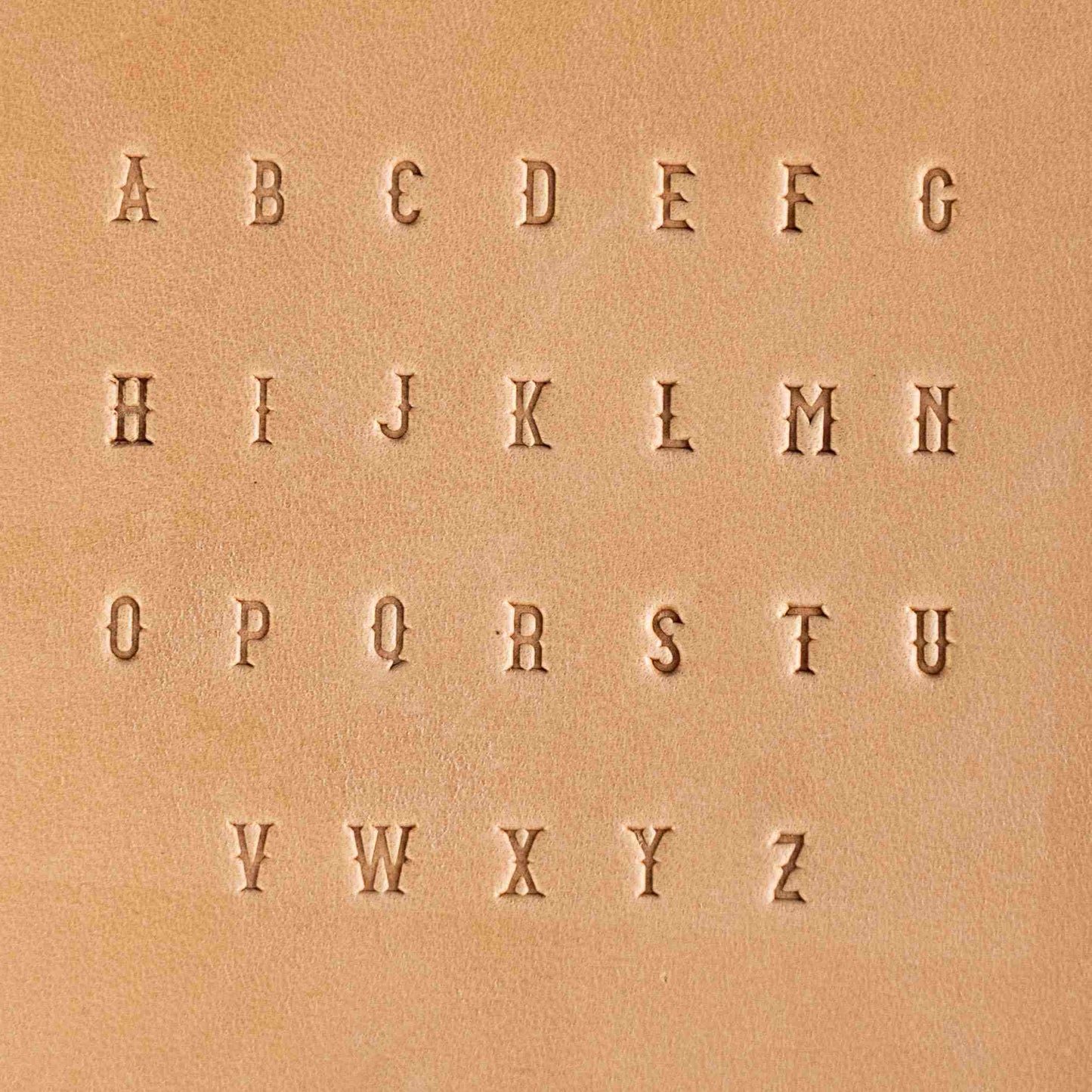 Dusty Desert Steel Stamp Set – A–Z and 0–9 for Leather