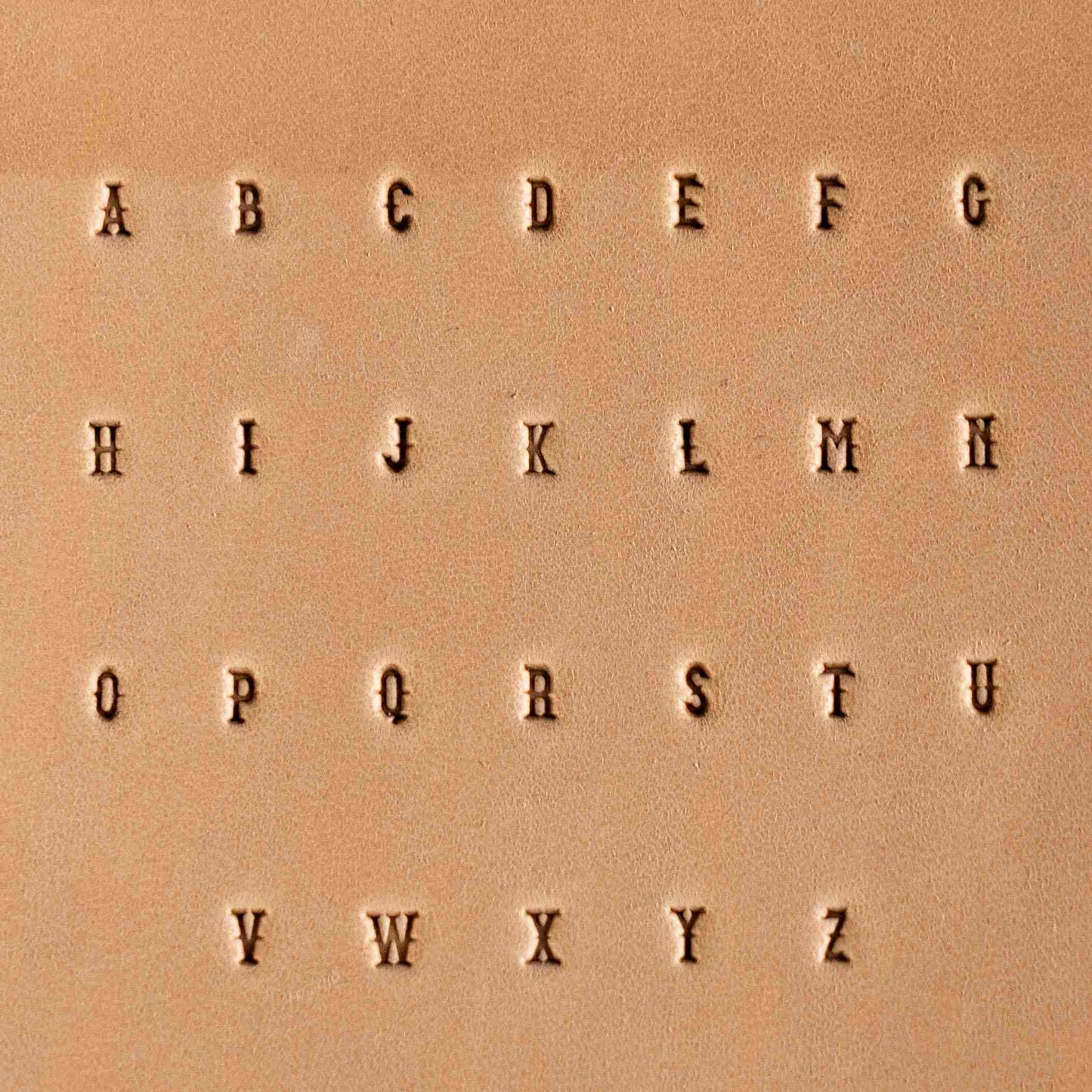 Dusty Desert Steel Stamp Set – A–Z and 0–9 for Leather