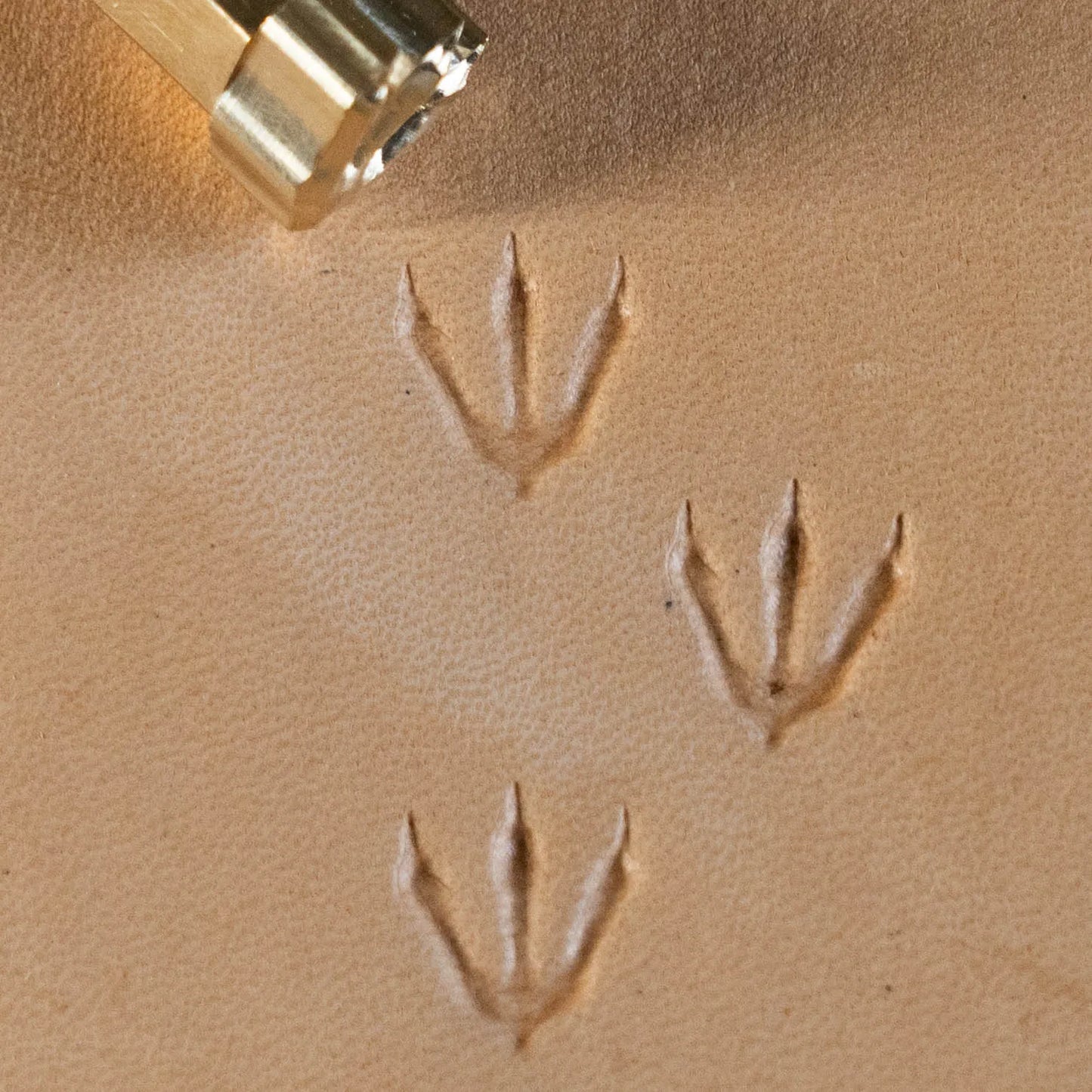 LT250 Premium Leather Stamping Tools for Professional Crafters-12x14mm