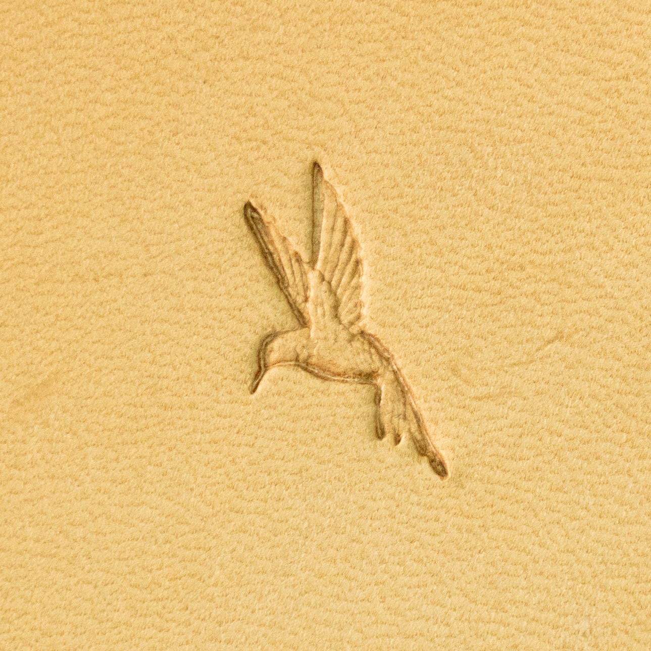 LT717 Hummingbird Leather Stamping Tool– Hummingbird 9x20mm (5/14" x 11/14")
