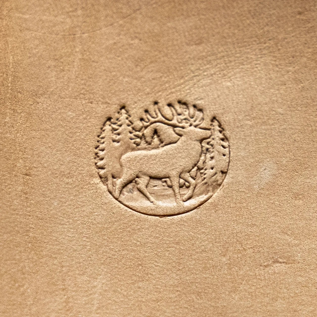 LT797 Deer Leather Stamping Tool for Professional Crafters – Forest Scene Deer 20x19mm (11/14" x 3/4")
