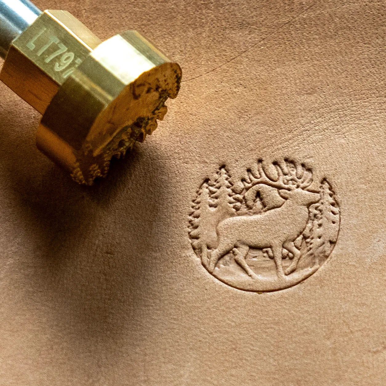 LT797 Deer Leather Stamping Tool for Professional Crafters – Forest Scene Deer 20x19mm (11/14" x 3/4")